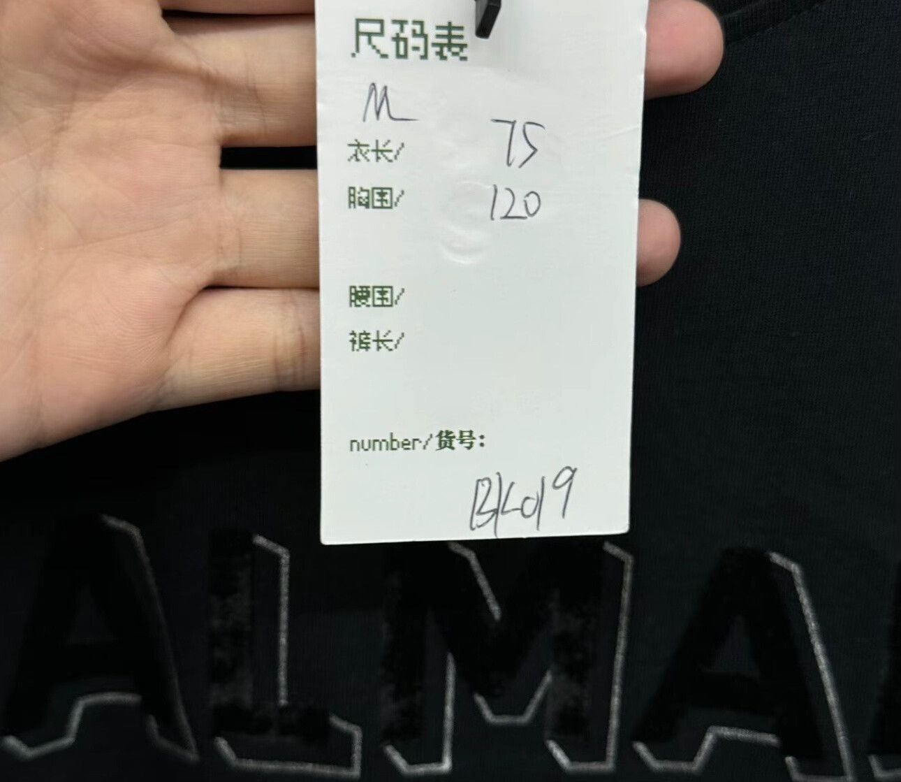 Balmain Balmain Flocked Logo T-Shirt Size M Size US M / EU 48-50 / 2 - 6 Thumbnail