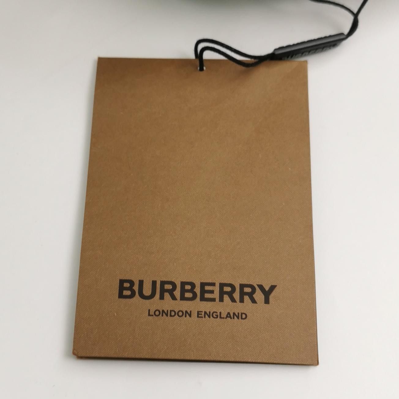 Burberry Burberry Men 32 Shorts Size US 32 / EU 48 - 4 Thumbnail