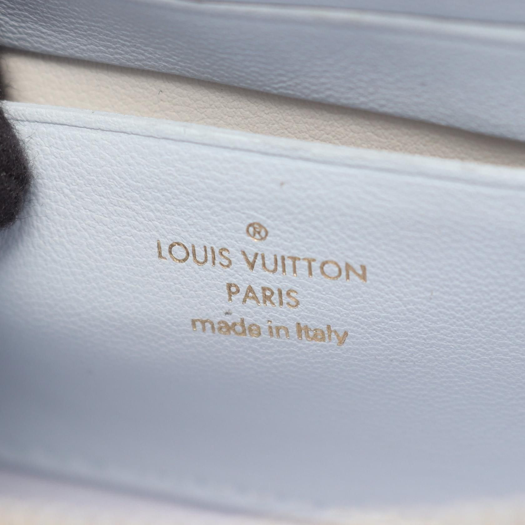 Louis Vuitton Louis Vuitton Louis Vuitton Wallet On Strap Leather Shoulder Bag Leather Shoulder Bag M81399 DUTY FREE for USA Size ONE SIZE - 4 Thumbnail