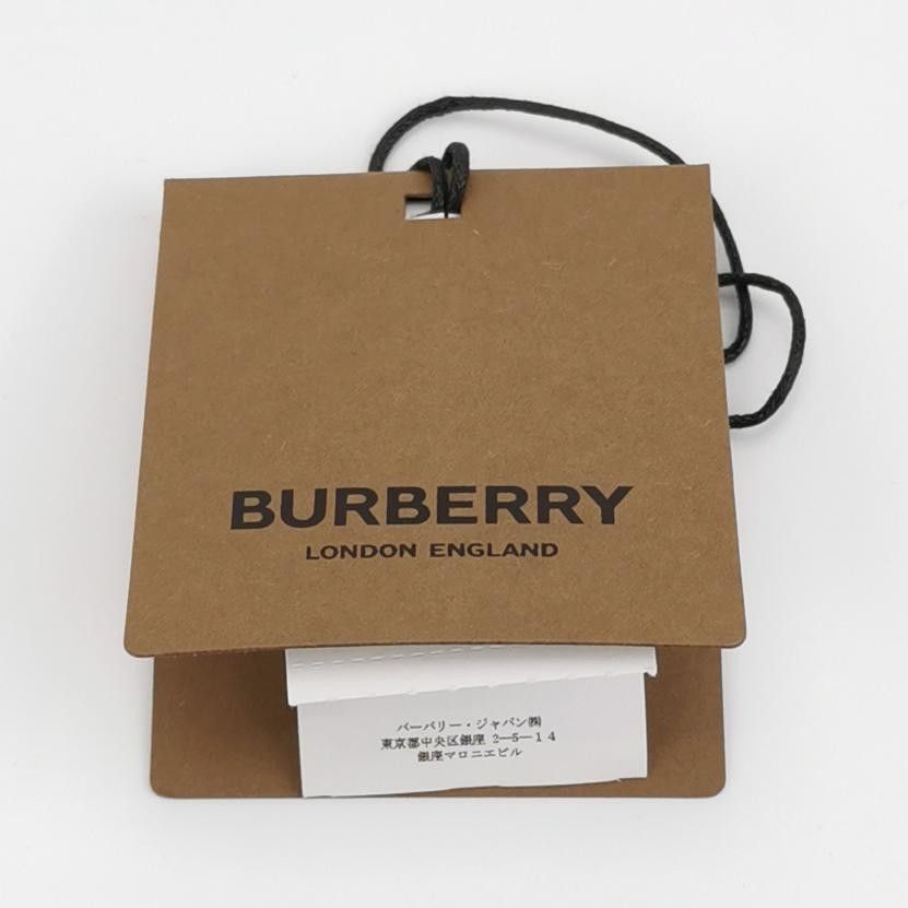 Burberry Burberry Men 32 Shorts Size US 32 / EU 48 - 4 Thumbnail