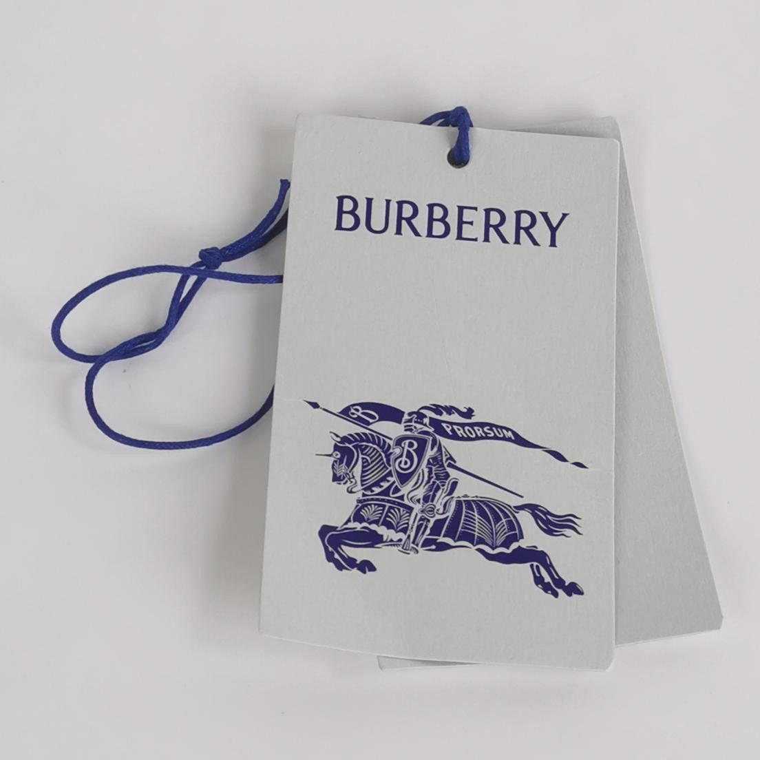 Burberry Burberry Men 32 Shorts Size US 32 / EU 48 - 4 Thumbnail