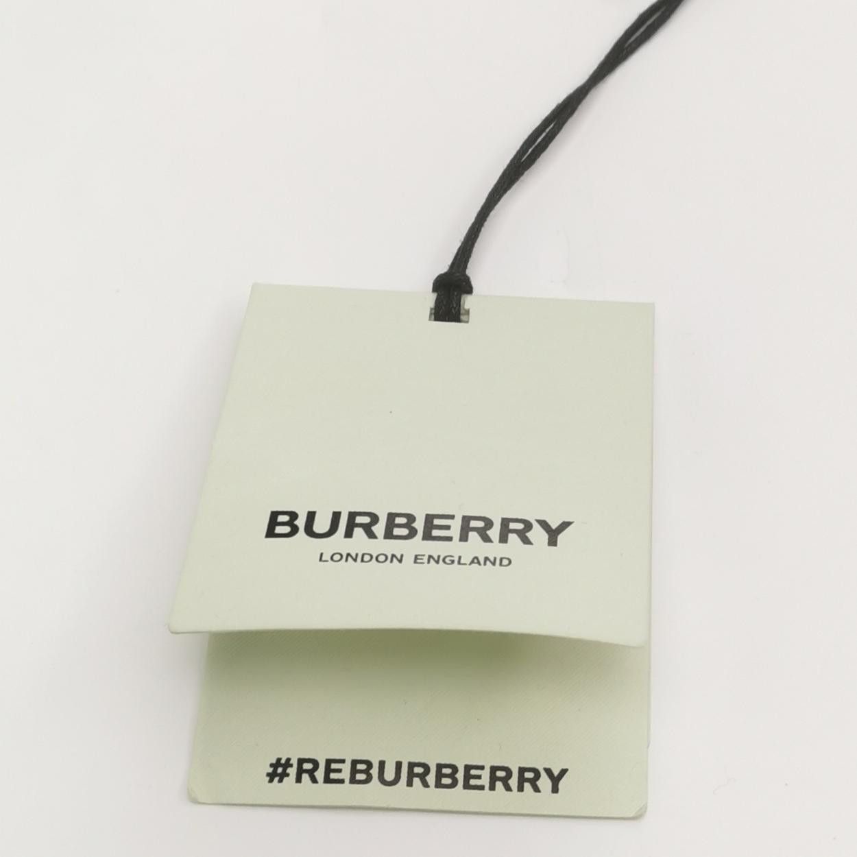 Burberry Burberry Men 32 Shorts Size US 32 / EU 48 - 4 Thumbnail