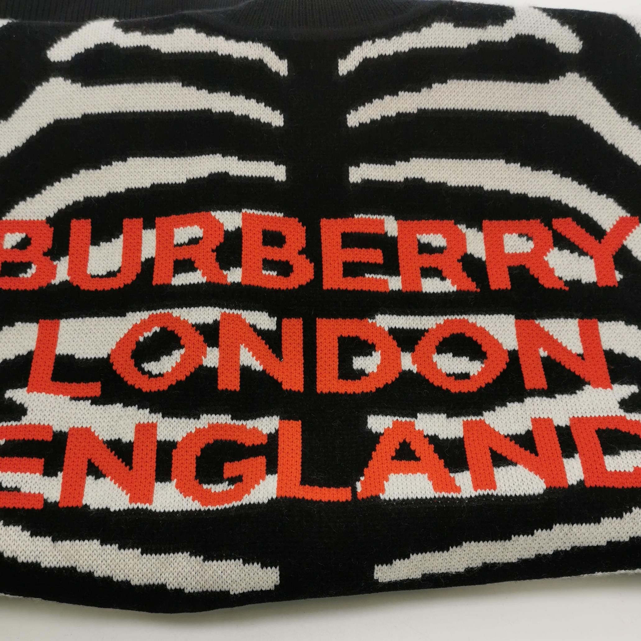 Burberry Burberry Men m Sweaters Knitwear Size US M / EU 48-50 / 2 - 3 Thumbnail
