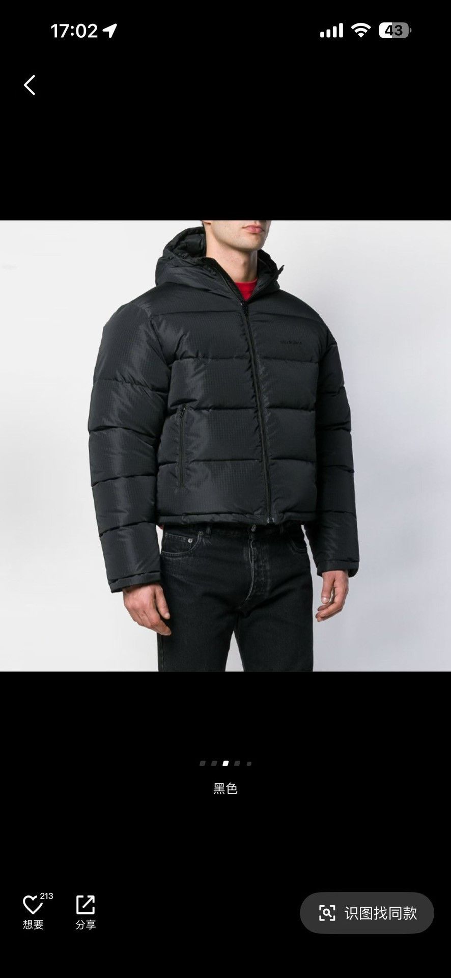 Balenciaga Balenciaga Embroidered Logo Hooded Puffer Size 34 Size XS / US 0-2 / IT 36-38 - 6 Thumbnail