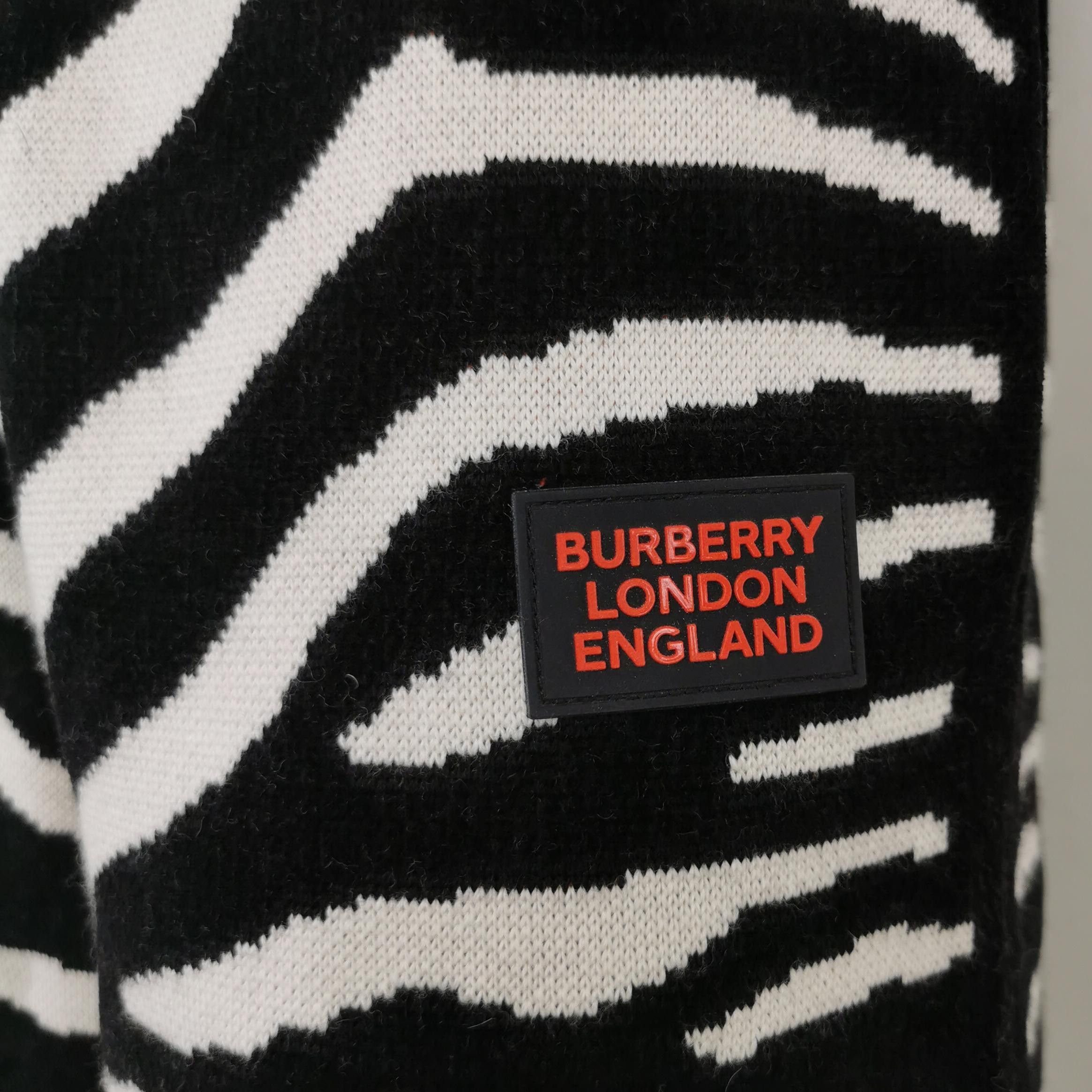 Burberry Burberry Men 30 Shorts Size US 30 / EU 46 - 3 Thumbnail