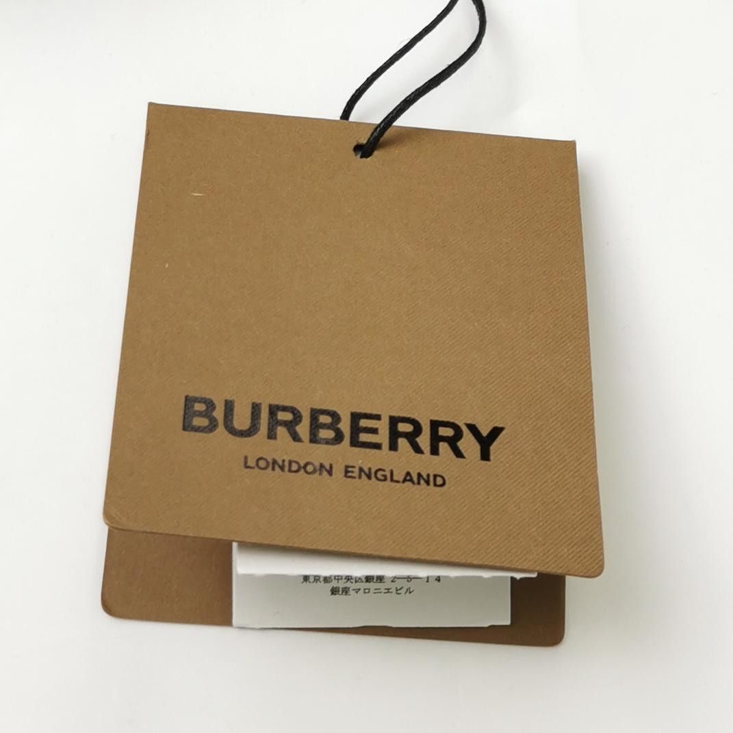 Burberry Burberry Men 30 Casual Pants Size US 30 / EU 46 - 4 Thumbnail