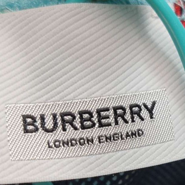 Burberry Burberry Men 32 Shorts Size US 32 / EU 48 - 5 Thumbnail