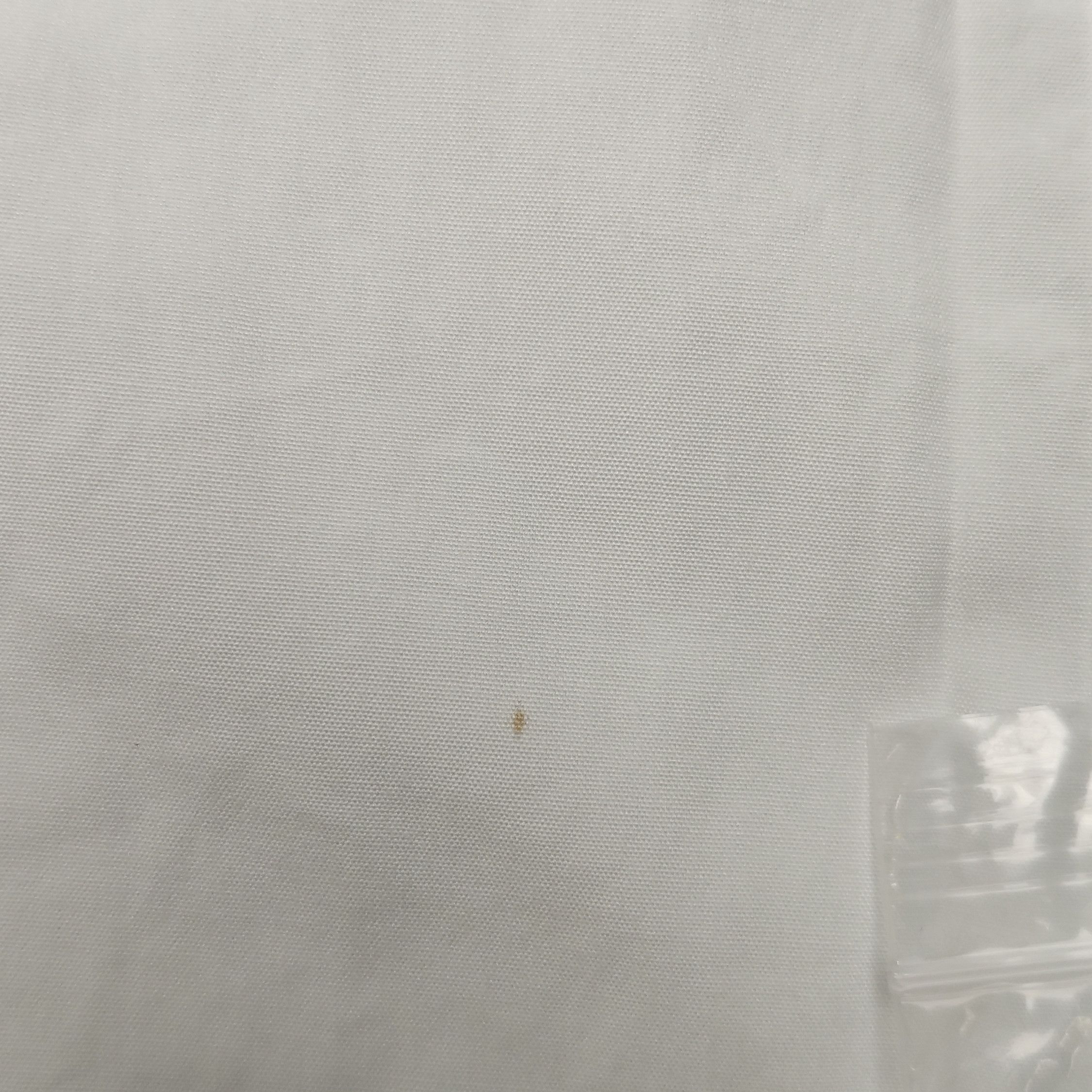 Burberry Burberry Men xs Button Ups Size US XS / EU 42 / 0 - 14 Thumbnail