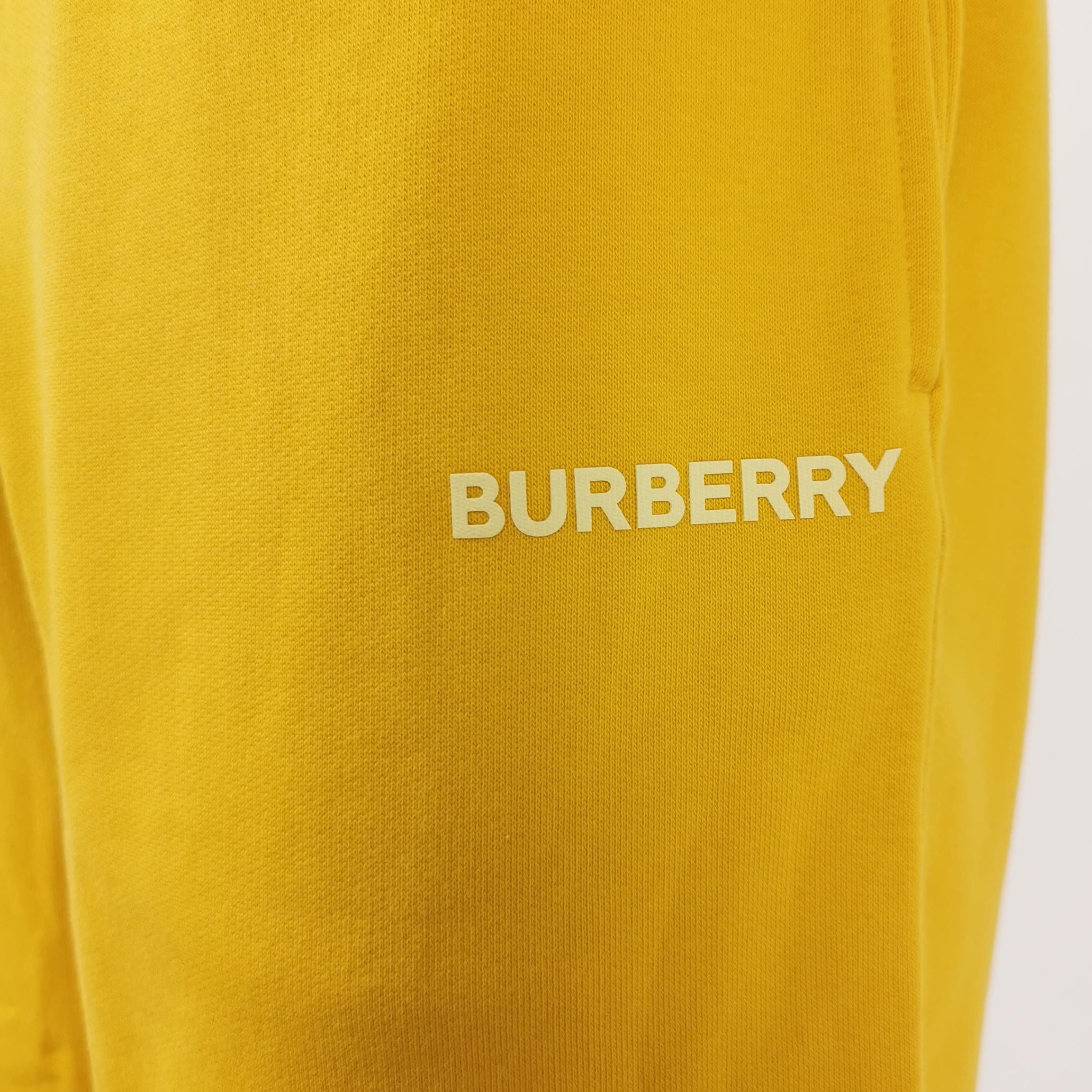 Burberry Burberry Men 28 Shorts Size US 28 / EU 44 - 3 Thumbnail