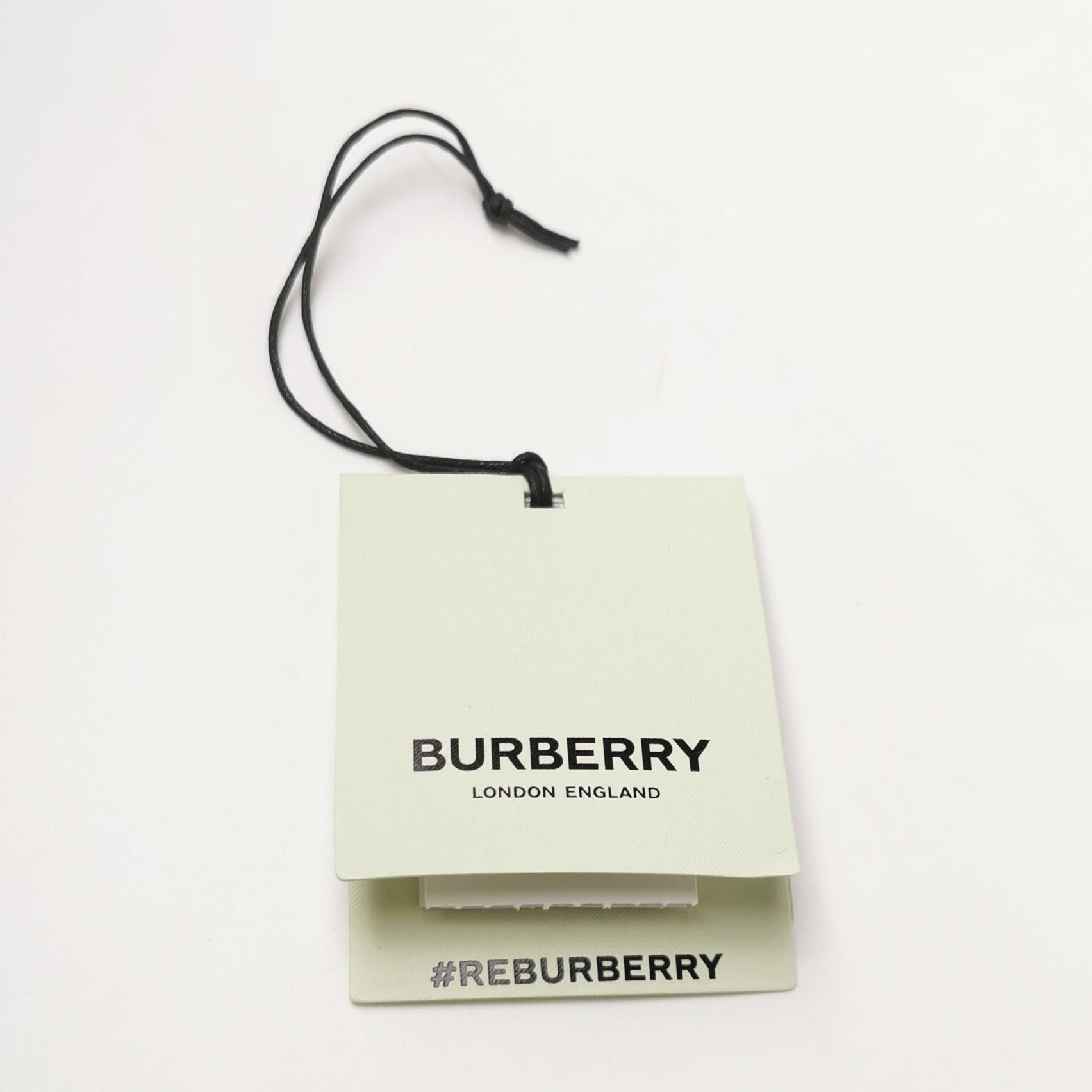 Burberry Burberry Men 28 Shorts Size US 28 / EU 44 - 4 Thumbnail