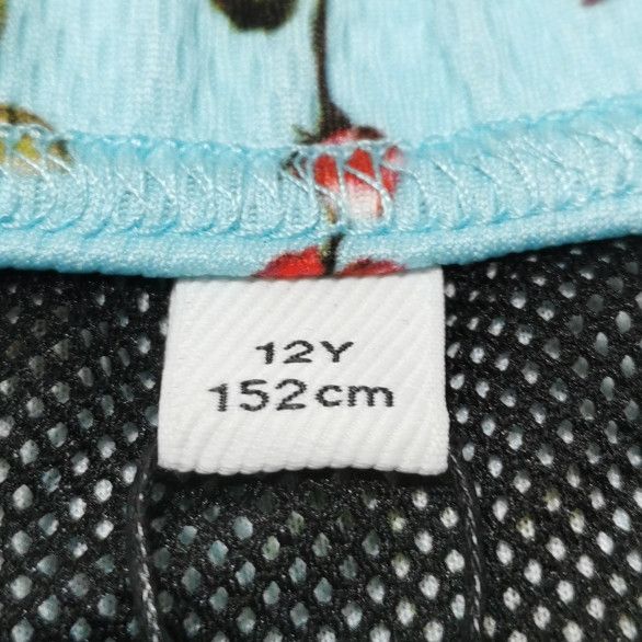 Burberry Burberry Men 32 Shorts Size US 32 / EU 48 - 6 Thumbnail