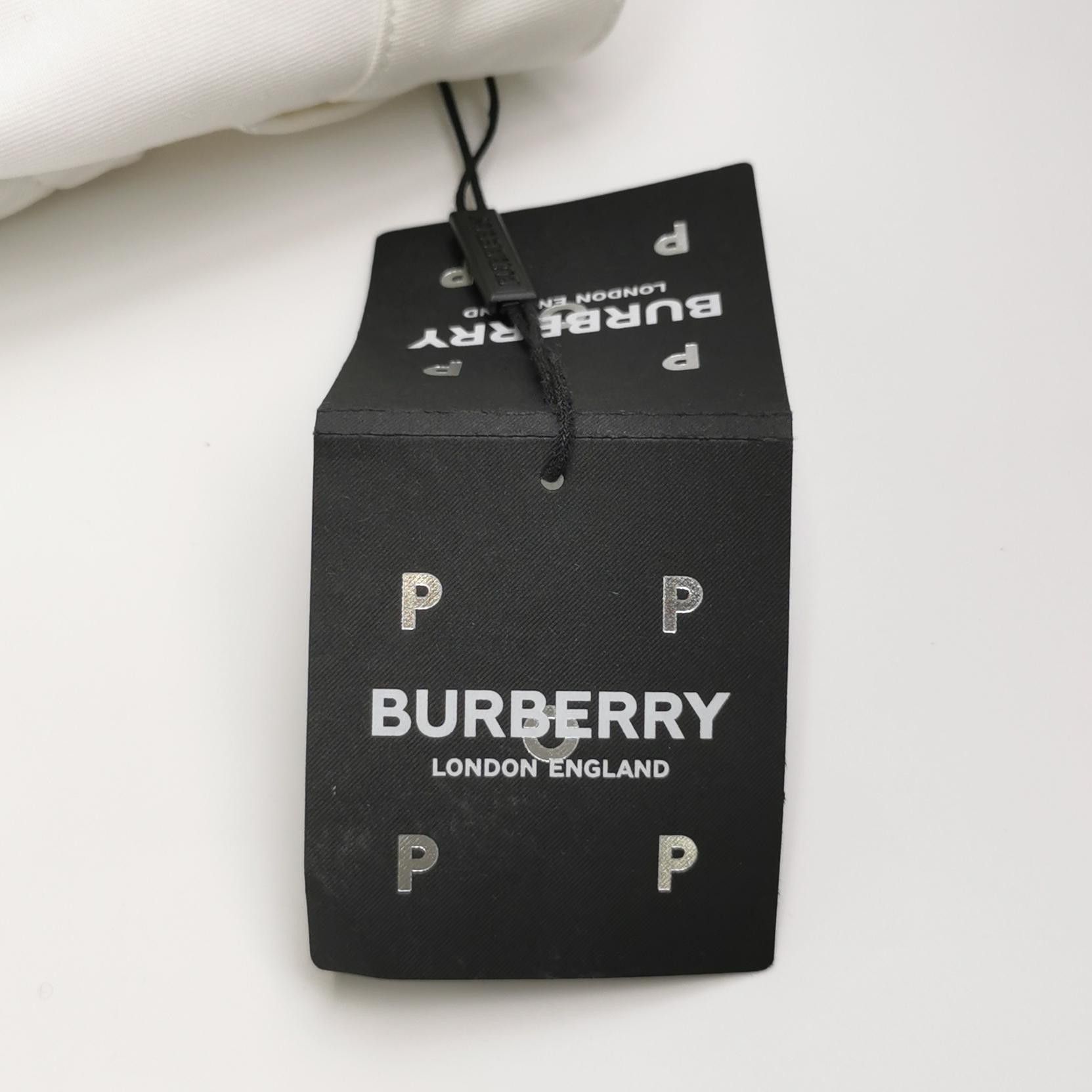 Burberry Burberry Men 34 Shorts Size US 34 / EU 50 - 4 Thumbnail