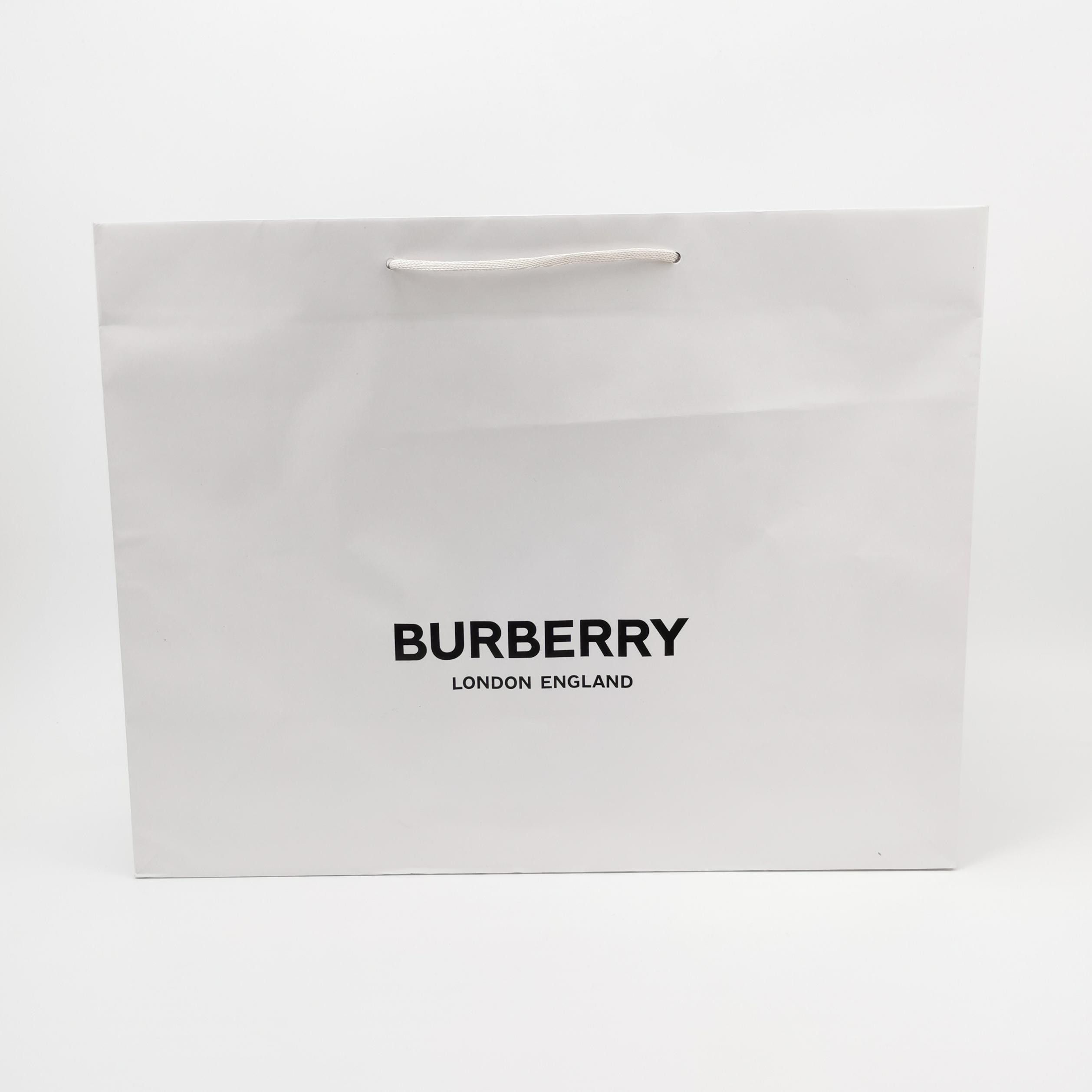 Burberry Burberry Men 34 Shorts Size US 34 / EU 50 - 5 Thumbnail