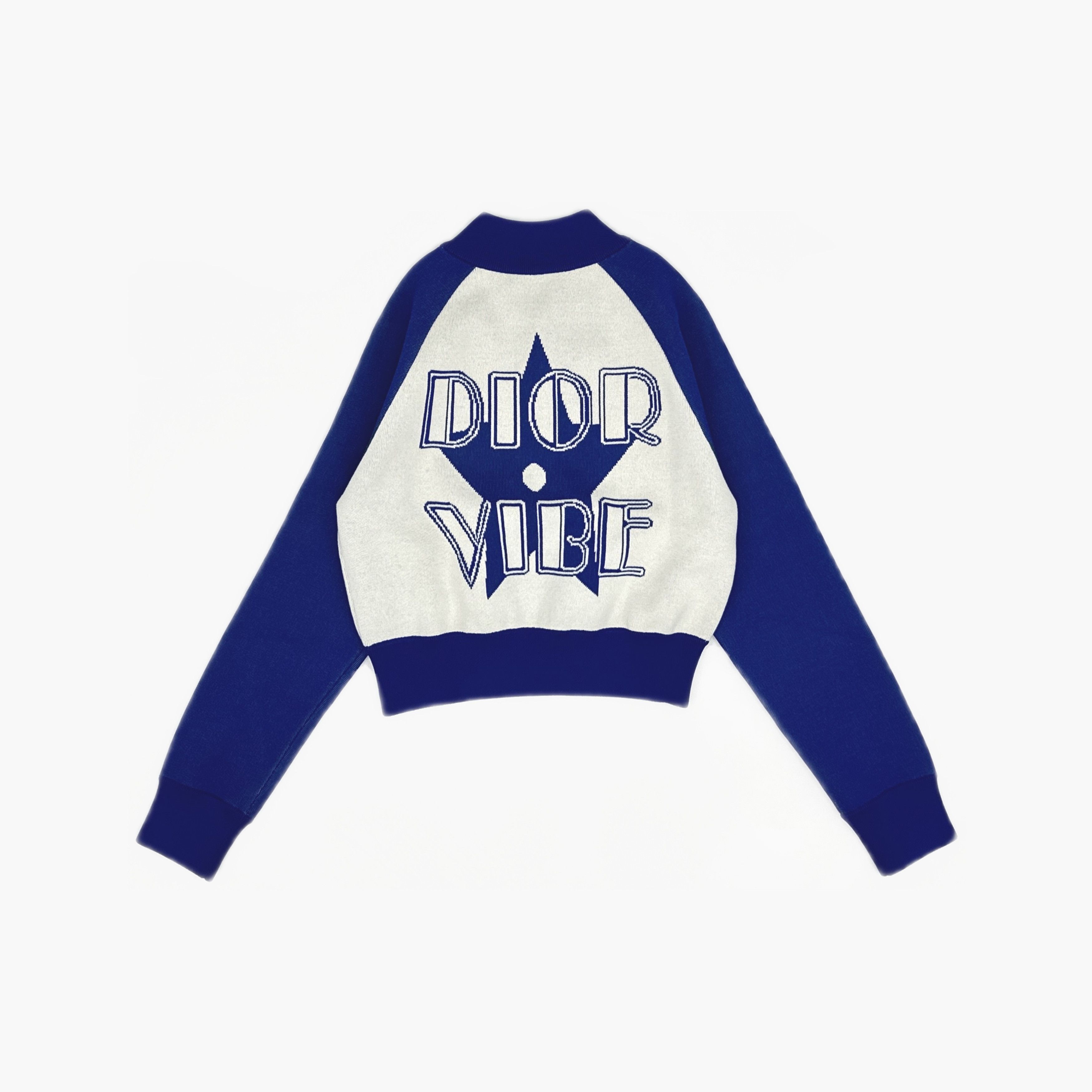 Dior Dior Vibe Logo Contrast Bomber Jacket Size 36 Size XS / US 0-2 / IT 36-38 - 2 Thumbnail