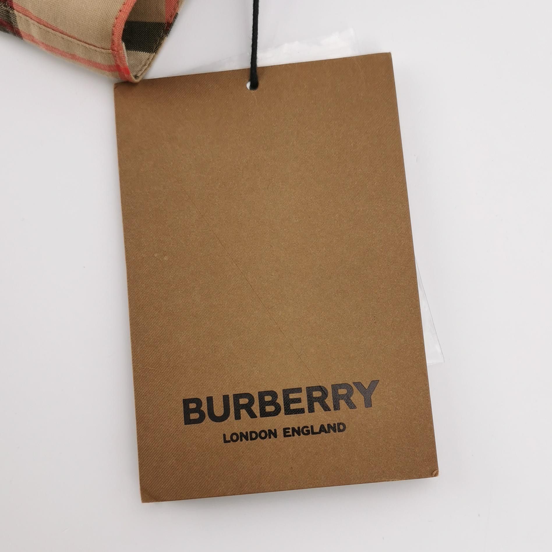 Burberry Burberry Men 32 Shorts Size US 32 / EU 48 - 5 Thumbnail