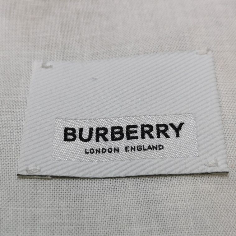 Burberry Burberry Men 32 Shorts Size US 32 / EU 48 - 8 Thumbnail