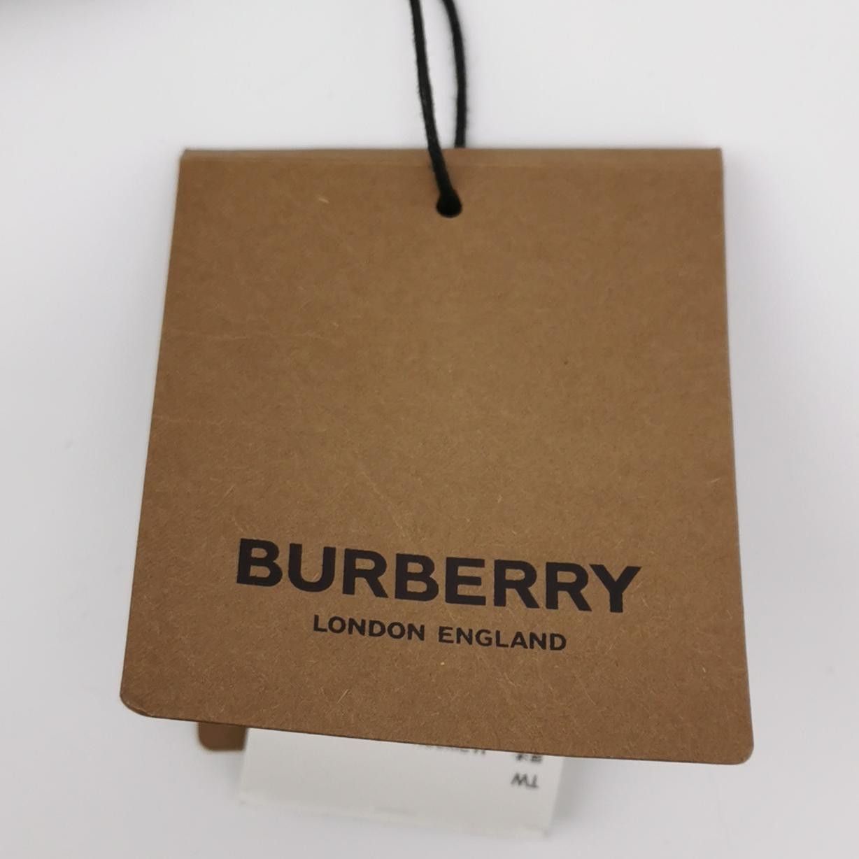Burberry Burberry Men 30 Shorts Size US 30 / EU 46 - 4 Thumbnail