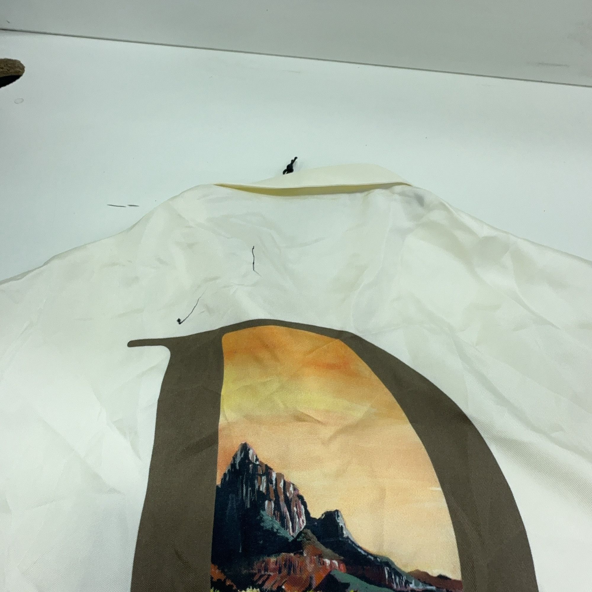 Dior Dior Mount Zion Landscape Graphic Silk Shirt 41 Size US L / EU 52-54 / 3 - 9 Thumbnail