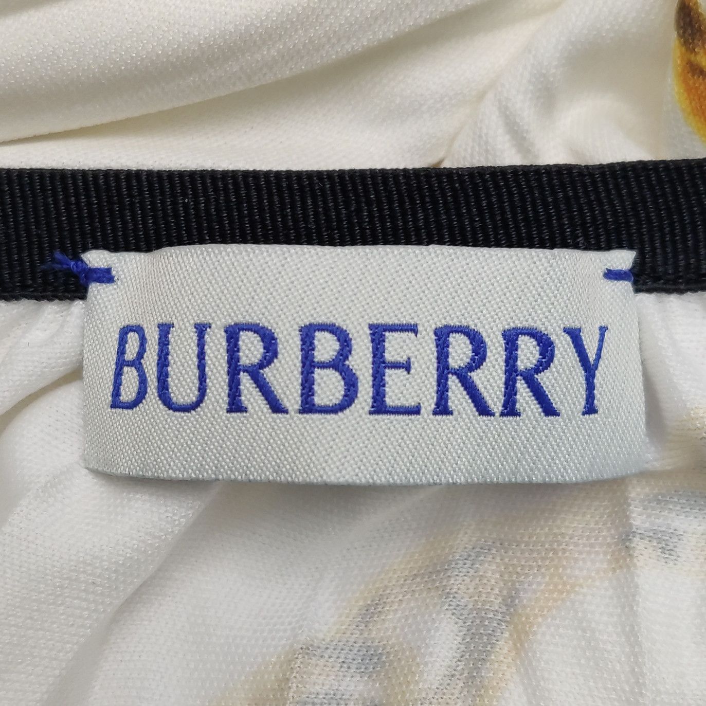 Burberry Burberry Women 26 Midi Skirts Size 26" / US 2 / IT 38 - 4 Thumbnail
