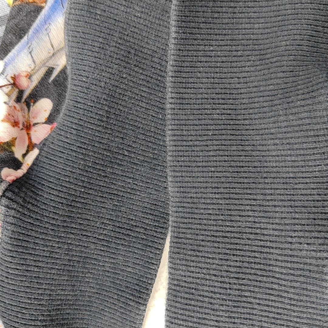 Dior Dior Homme Oblique Dinosaur Floral Hoodie XS Size US XS / EU 42 / 0 - 7 Thumbnail