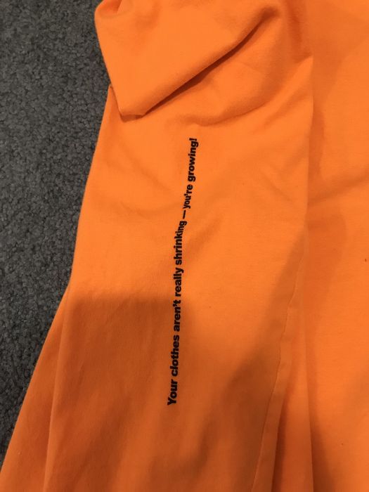 Vetements pets clearance hoodie