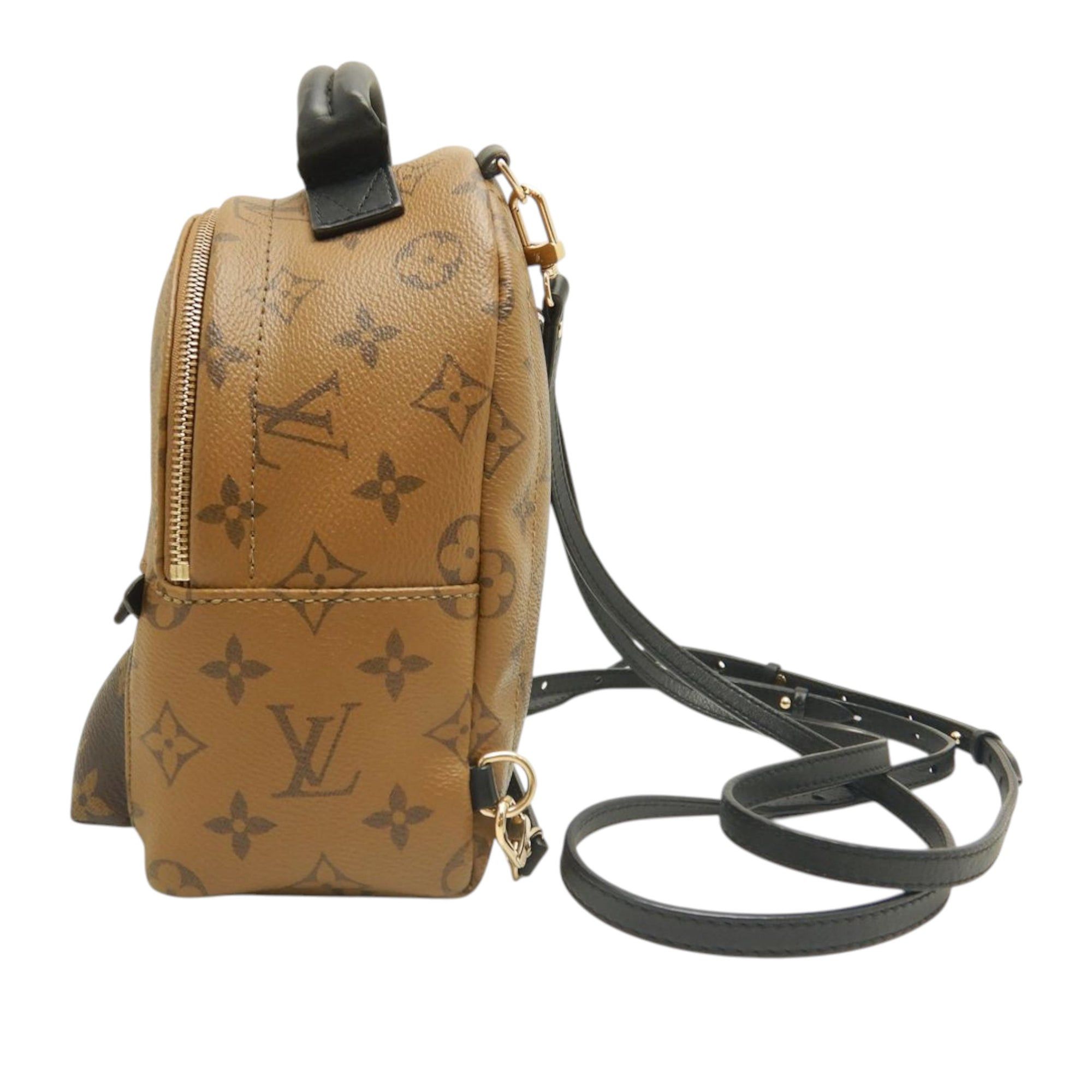 Louis Vuitton Monogram Reverse Mini Palm Springs Size ONE SIZE - 16 Thumbnail