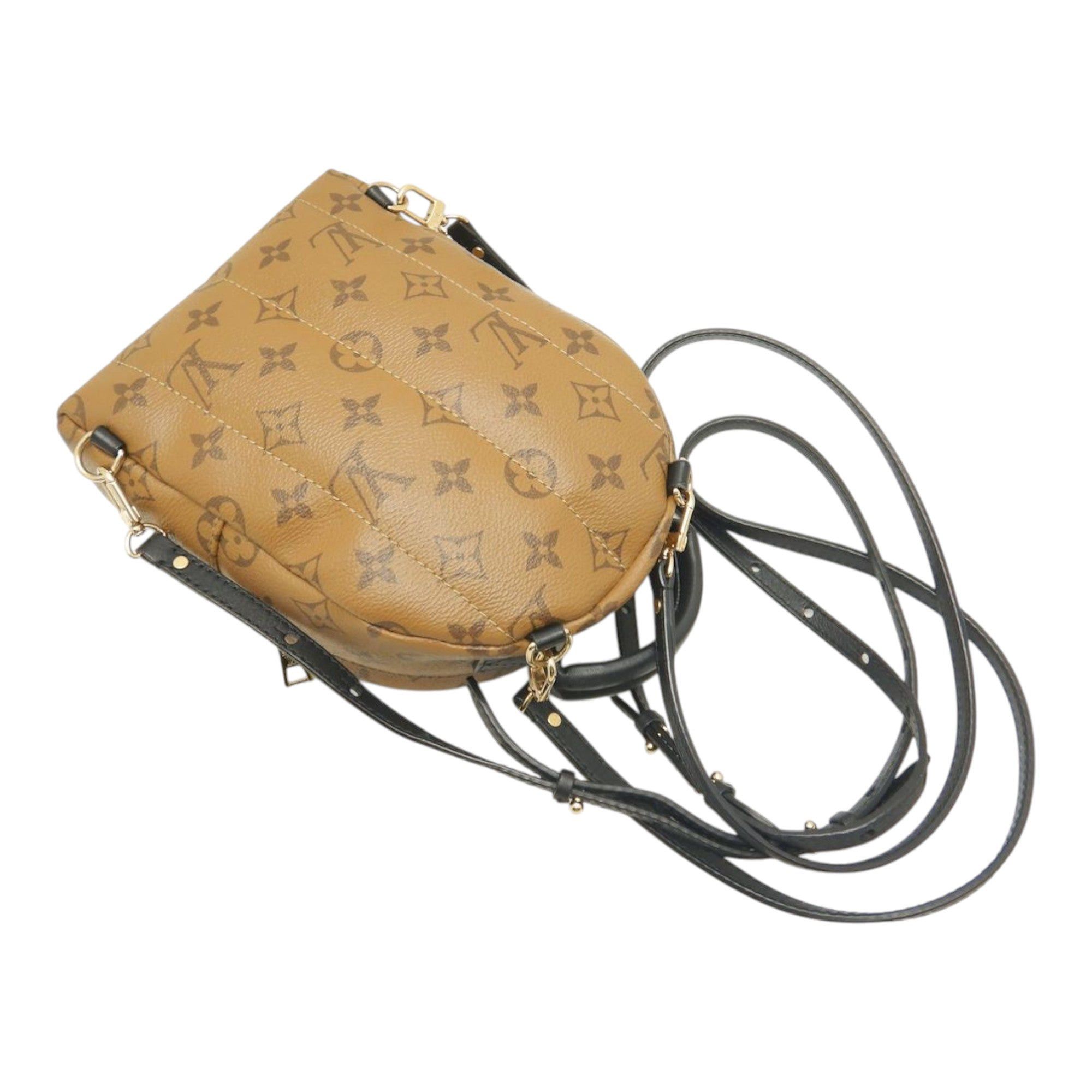 Louis Vuitton Monogram Reverse Mini Palm Springs Size ONE SIZE - 17 Thumbnail