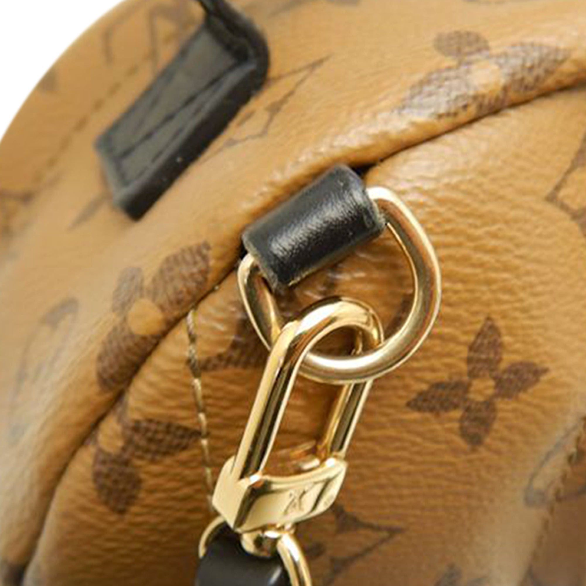Louis Vuitton Monogram Reverse Mini Palm Springs Size ONE SIZE - 9 Thumbnail