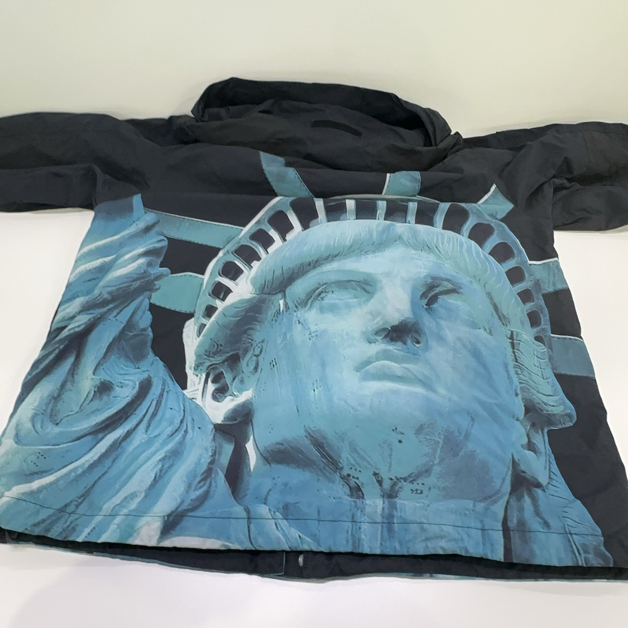 Supreme Supreme x The North Face Statue of Liberty Mountain Jacket M Size US M / EU 48-50 / 2 - 18 Thumbnail