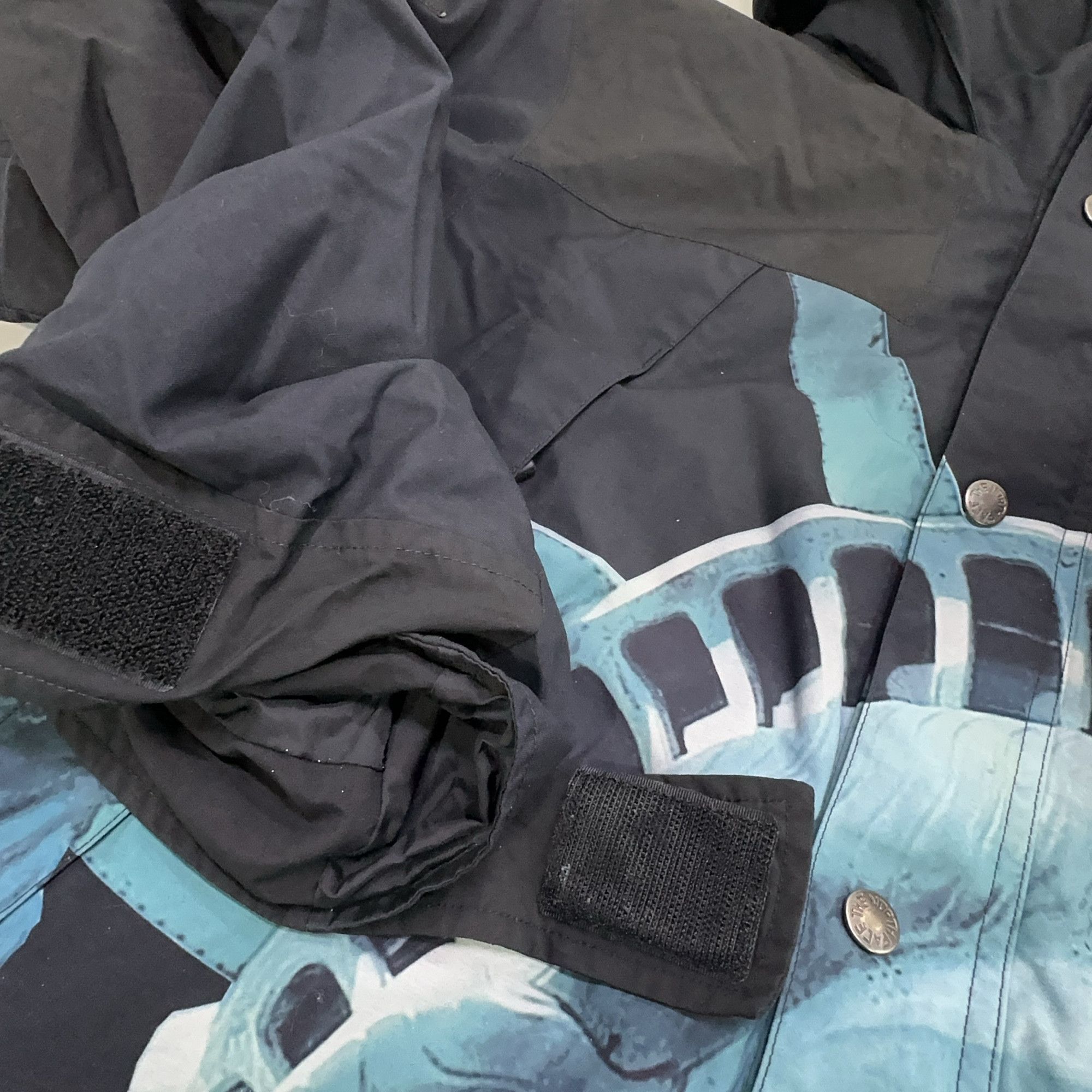 Supreme Supreme x The North Face Statue of Liberty Mountain Jacket M Size US M / EU 48-50 / 2 - 13 Thumbnail