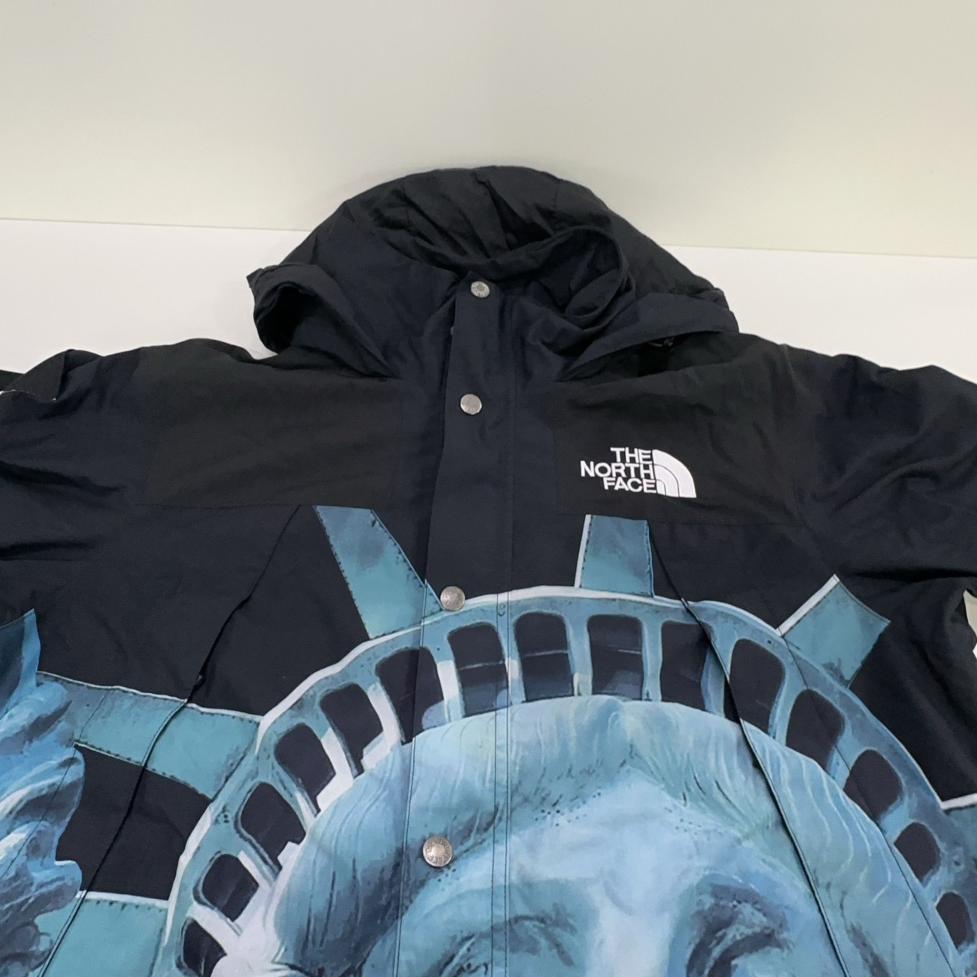 Supreme Supreme x The North Face Statue of Liberty Mountain Jacket M Size US M / EU 48-50 / 2 - 10 Thumbnail