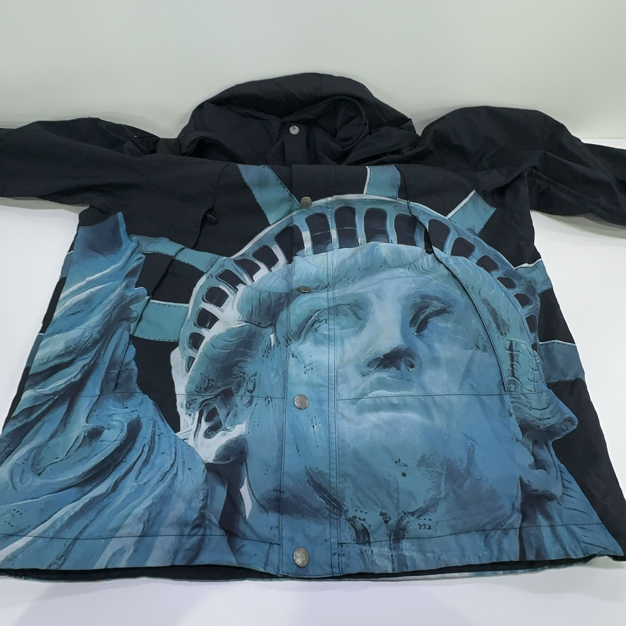 Supreme Supreme x The North Face Statue of Liberty Mountain Jacket M Size US M / EU 48-50 / 2 - 15 Thumbnail