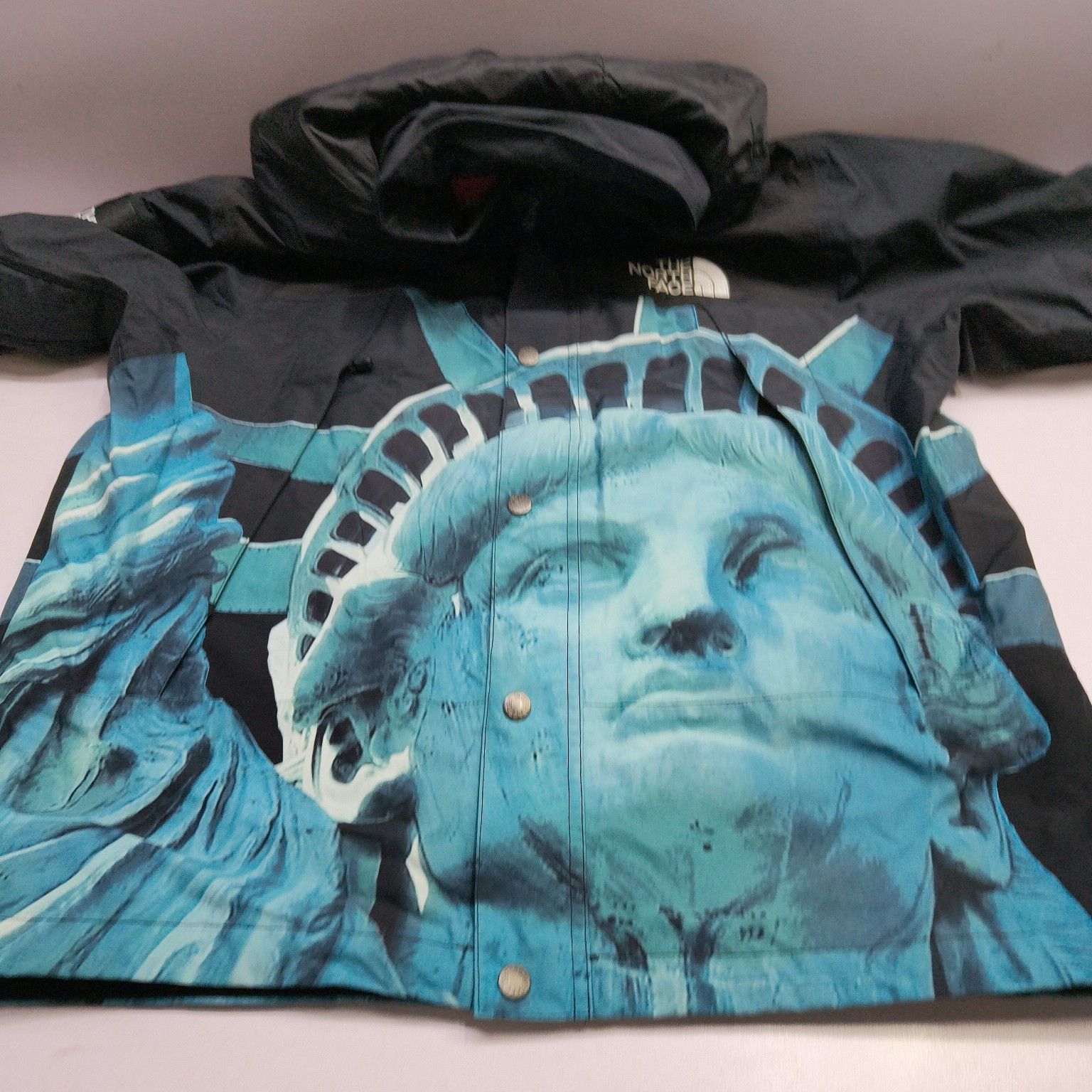 Supreme Supreme x The North Face Statue of Liberty Mountain Jacket M Size US M / EU 48-50 / 2 - 10 Thumbnail