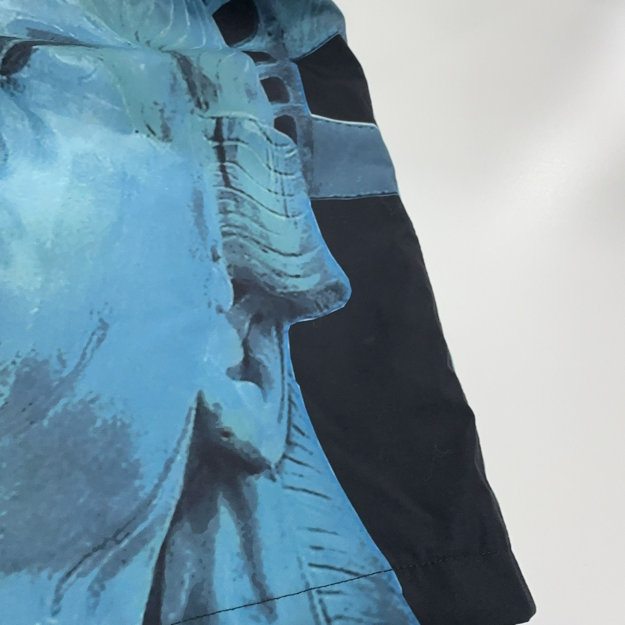 Supreme Supreme x The North Face Statue of Liberty Jacket XL Size US XL / EU 56 / 4 - 9 Thumbnail