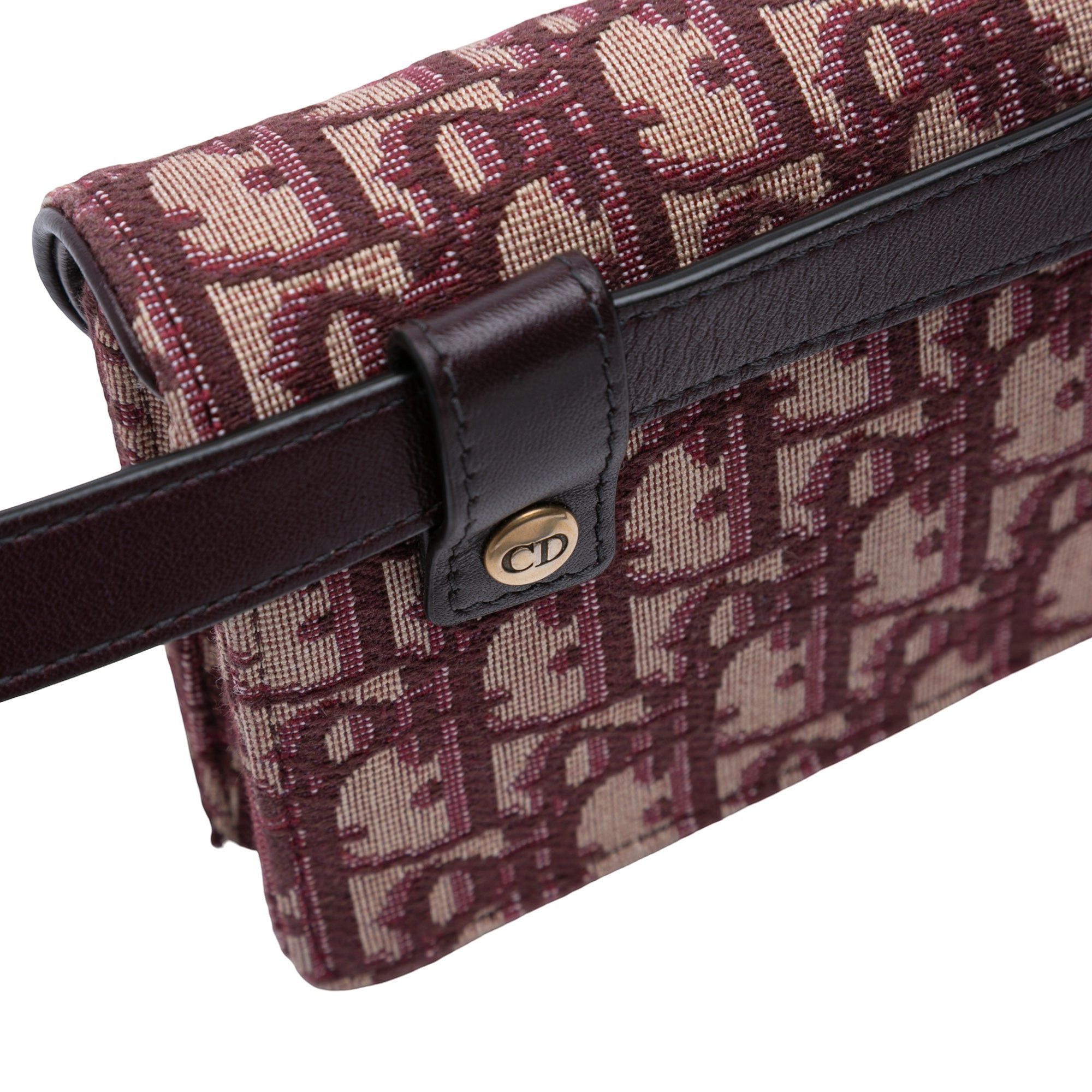Dior Oblique Canvas Saddle Belt Bag Size ONE SIZE - 8 Thumbnail