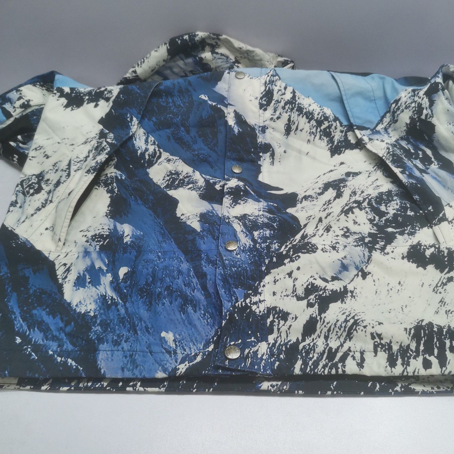 Supreme Supreme x The North Face Mountain Parka Size L Size US L / EU 52-54 / 3 - 12 Thumbnail