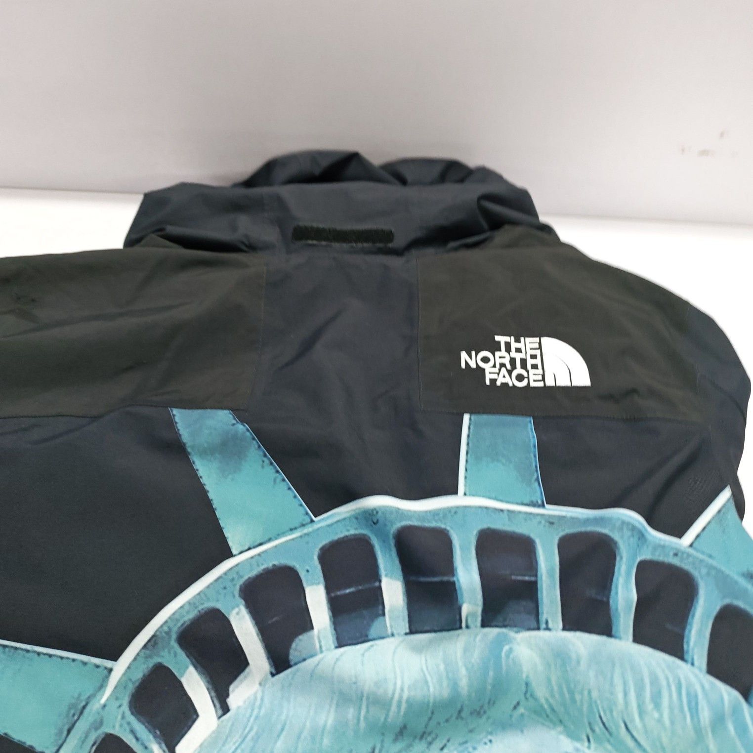 Supreme Supreme x The North Face Statue of Liberty Mountain Jacket M Size US M / EU 48-50 / 2 - 7 Thumbnail