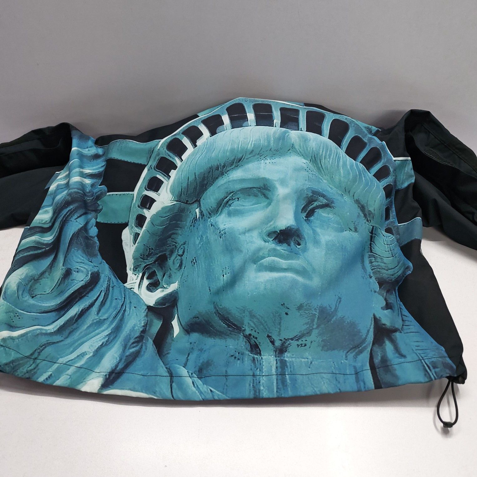 Supreme Supreme x The North Face Statue of Liberty Mountain Jacket M Size US M / EU 48-50 / 2 - 11 Thumbnail