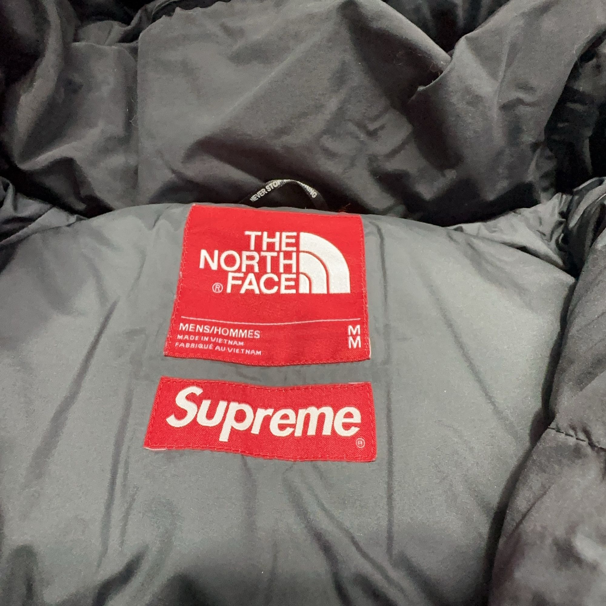 Supreme × The North Face Supreme x The North Face Mountain Puffer Jacket Size M Size US M / EU 48-50 / 2 - 3 Thumbnail