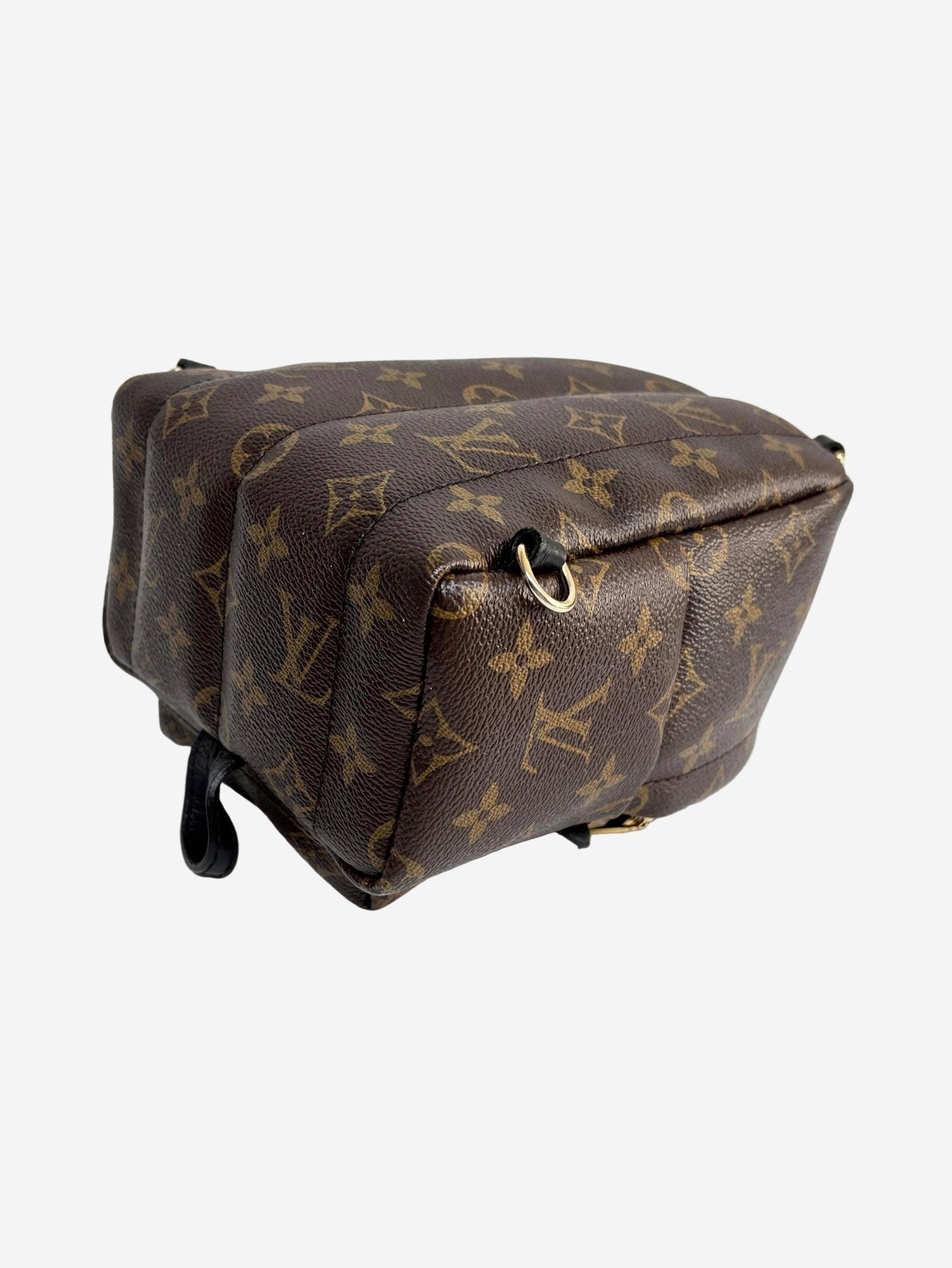 Other Brown 2016 Palm Springs mini backpack Size ONE SIZE - 4 Thumbnail