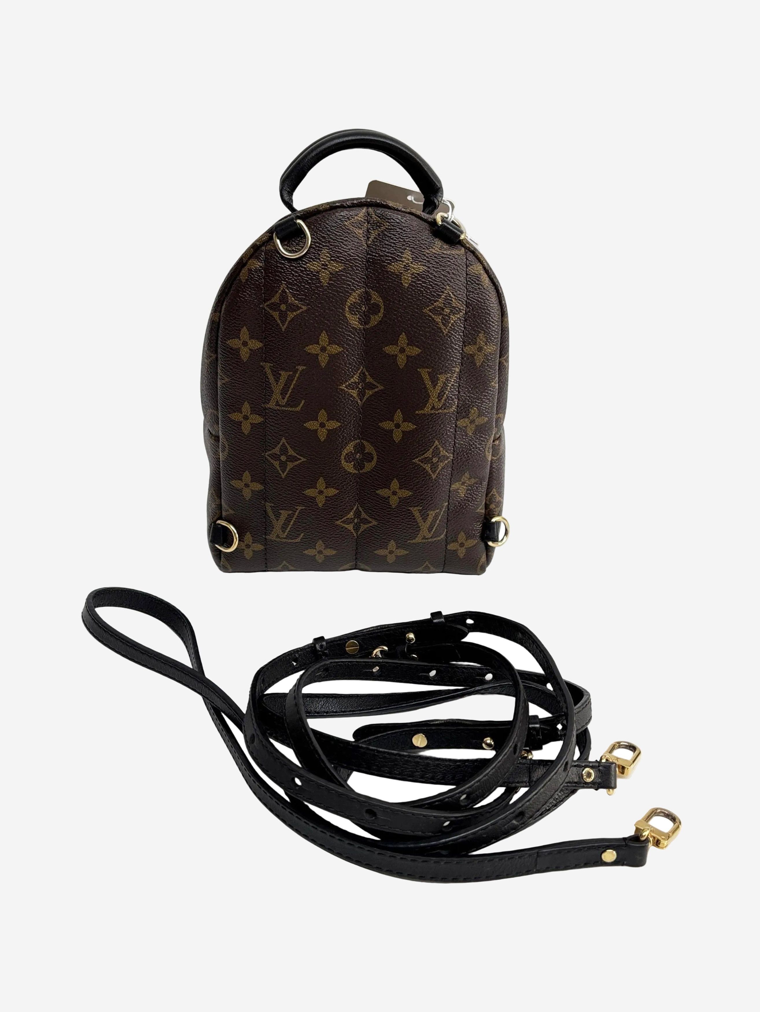 Other Brown 2016 Palm Springs mini backpack Size ONE SIZE - 3 Thumbnail