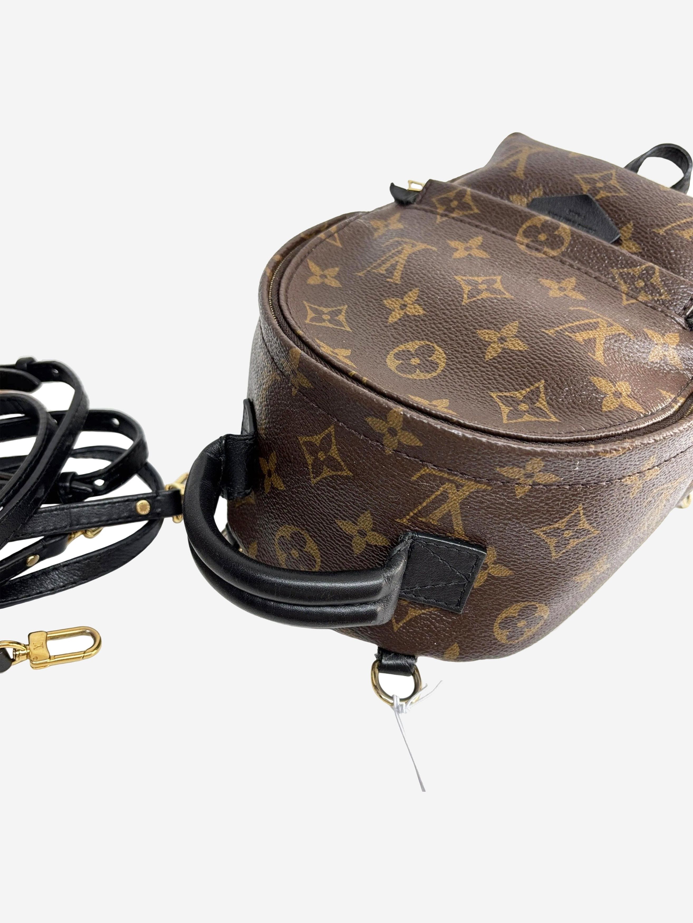 Other Brown 2016 Palm Springs mini backpack Size ONE SIZE - 2 Thumbnail