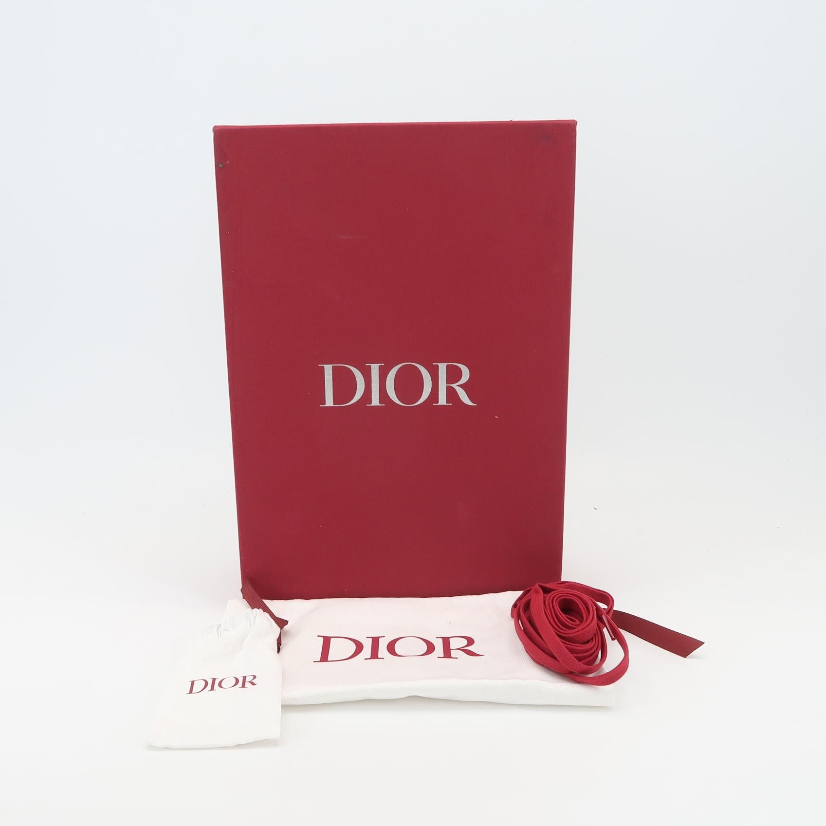 Dior Dior Men 10 Lowtop Sneakers Size US 10 / EU 43 - 6 Thumbnail