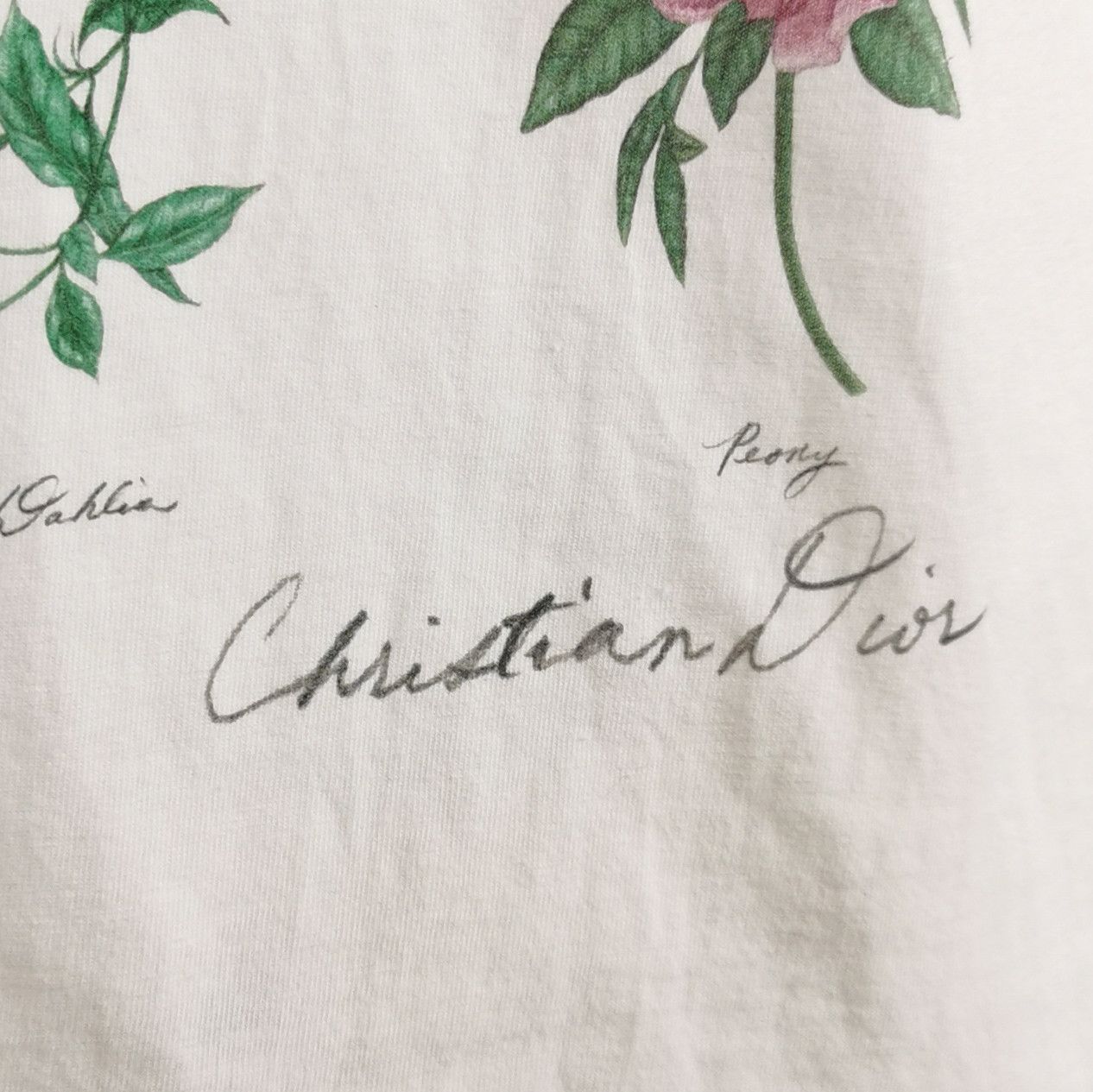 Dior Dior Men xs Short Sleeve Shirts Size US XS / EU 42 / 0 - 3 Thumbnail