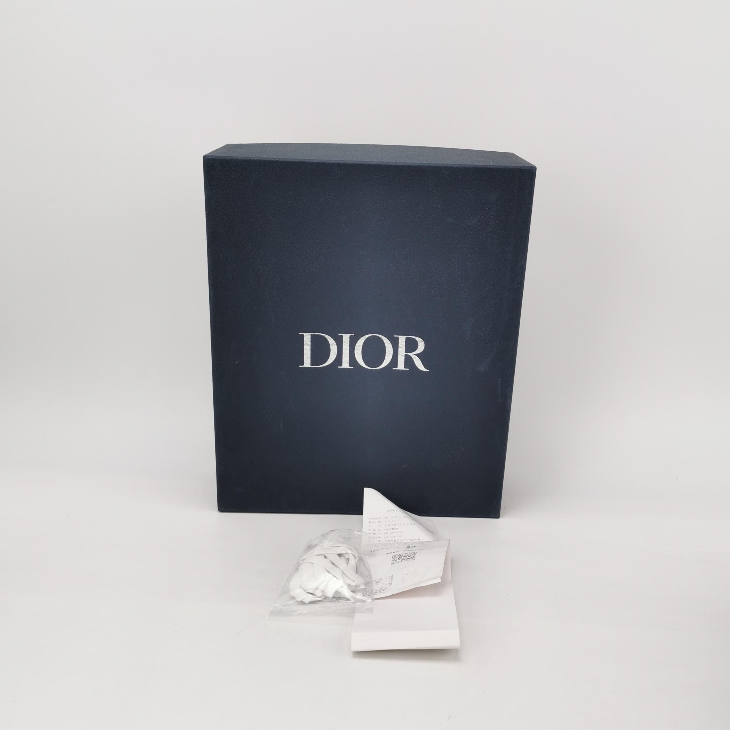 Dior Dior Men 7 Lowtop Sneakers Size US 7 / EU 40 - 6 Thumbnail