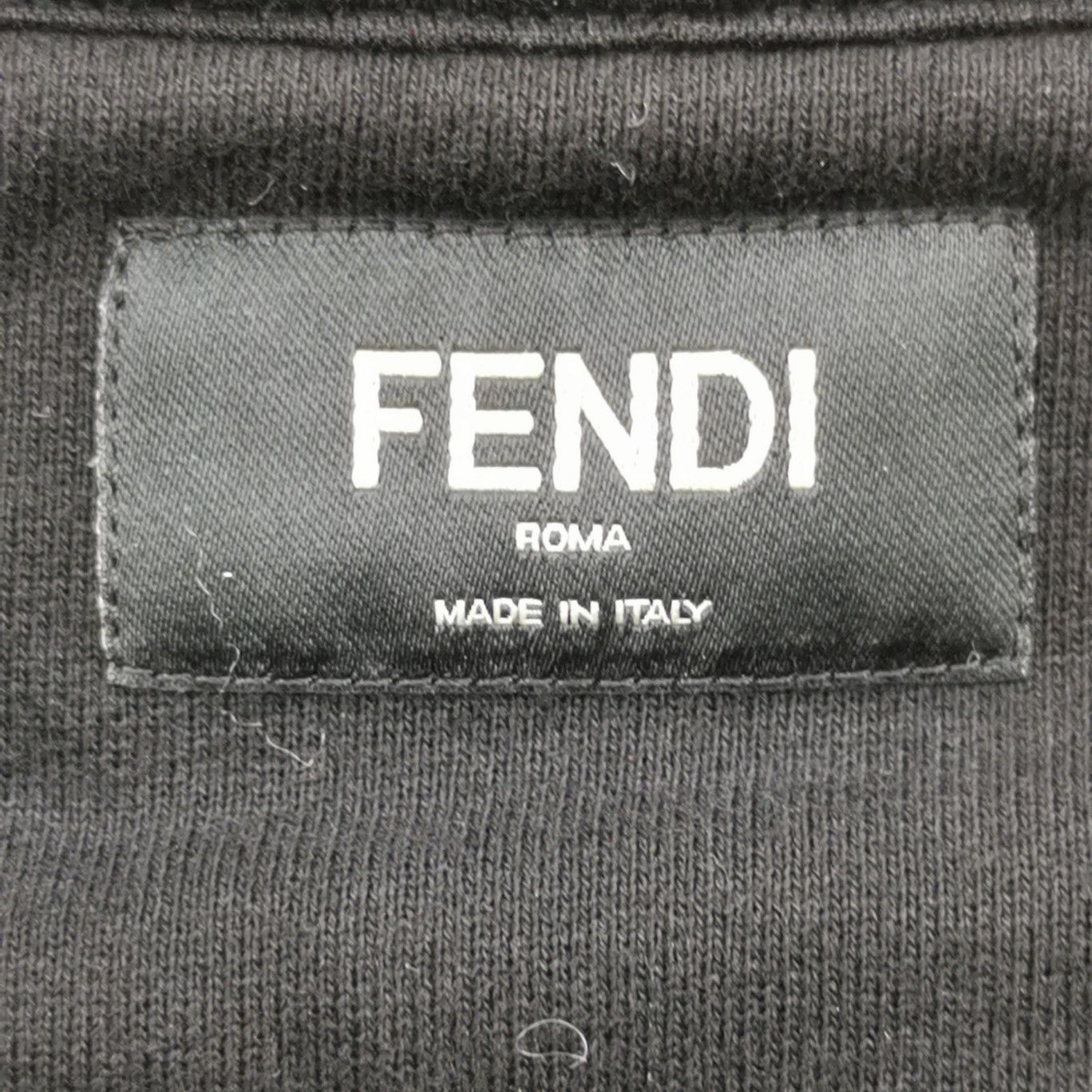 Fendi Fendi Men xs Sweatshirts Hoodies Size US XS / EU 42 / 0 - 6 Thumbnail