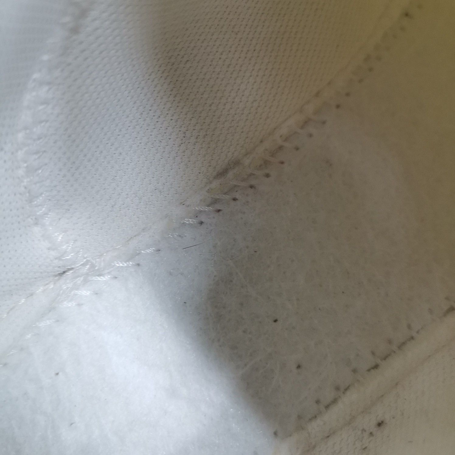 Bottega Veneta Bottega Veneta White Orbit Low-Top Sneakers Size 37 Size US 7 / IT 37 - 11 Thumbnail