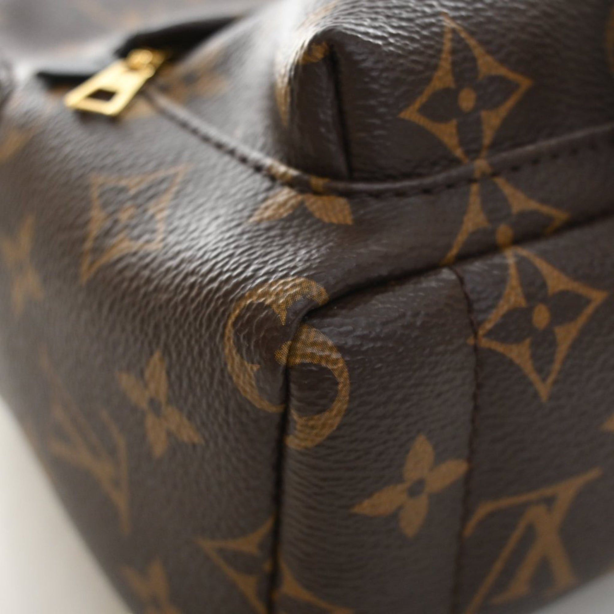 Louis Vuitton Monogram Mini Palm Springs Size ONE SIZE - 9 Thumbnail