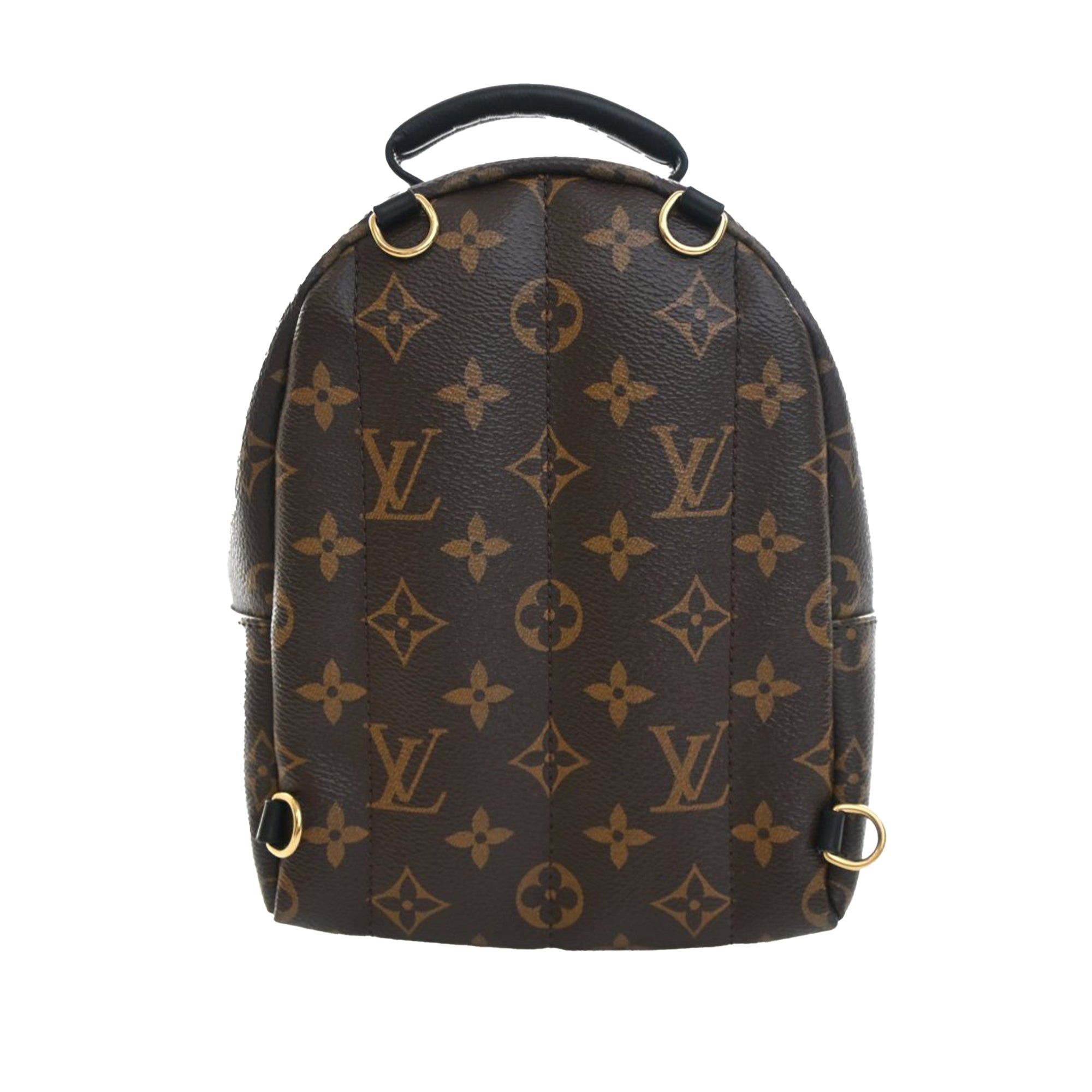 Louis Vuitton Monogram Mini Palm Springs Size ONE SIZE - 2 Thumbnail