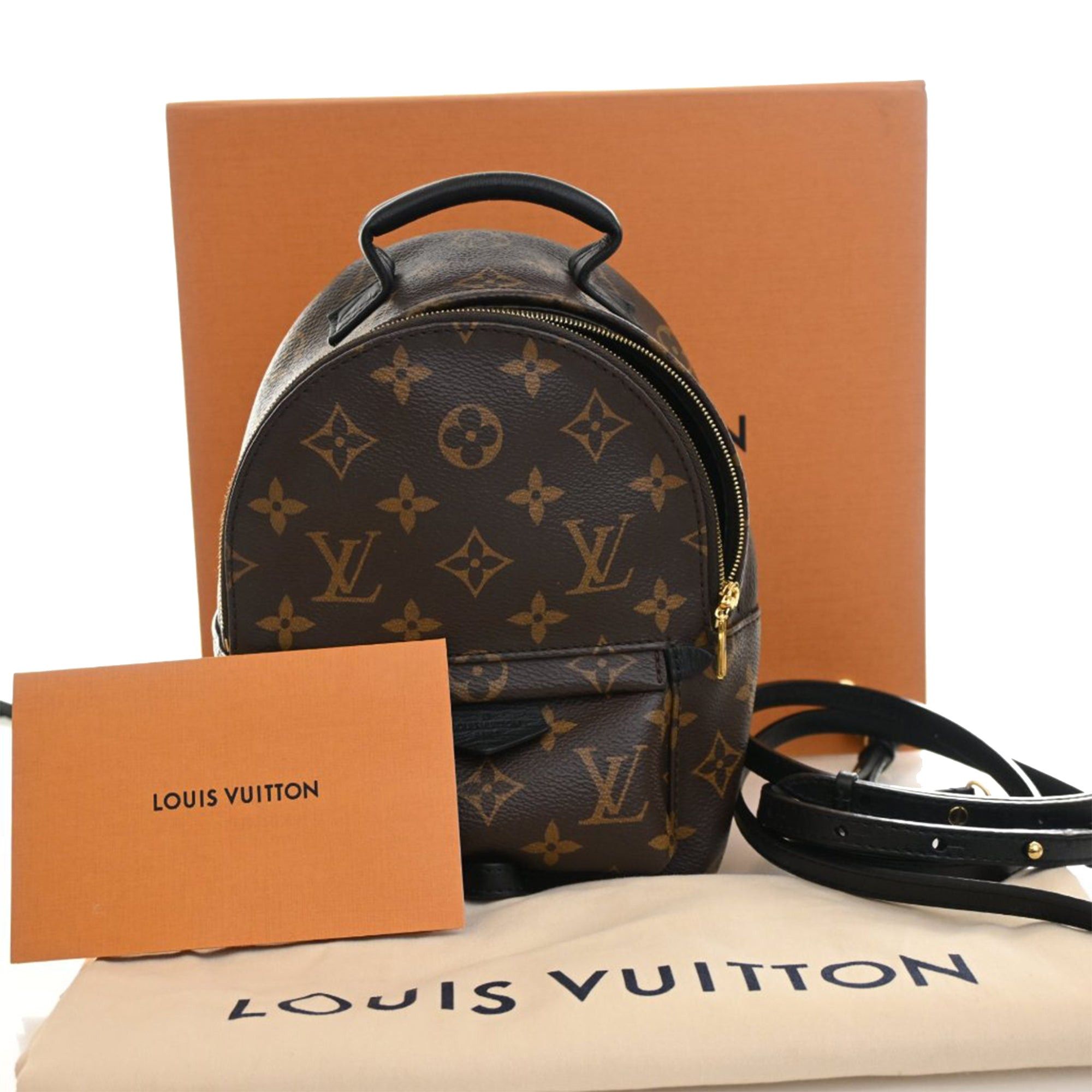 Louis Vuitton Monogram Mini Palm Springs Size ONE SIZE - 12 Thumbnail